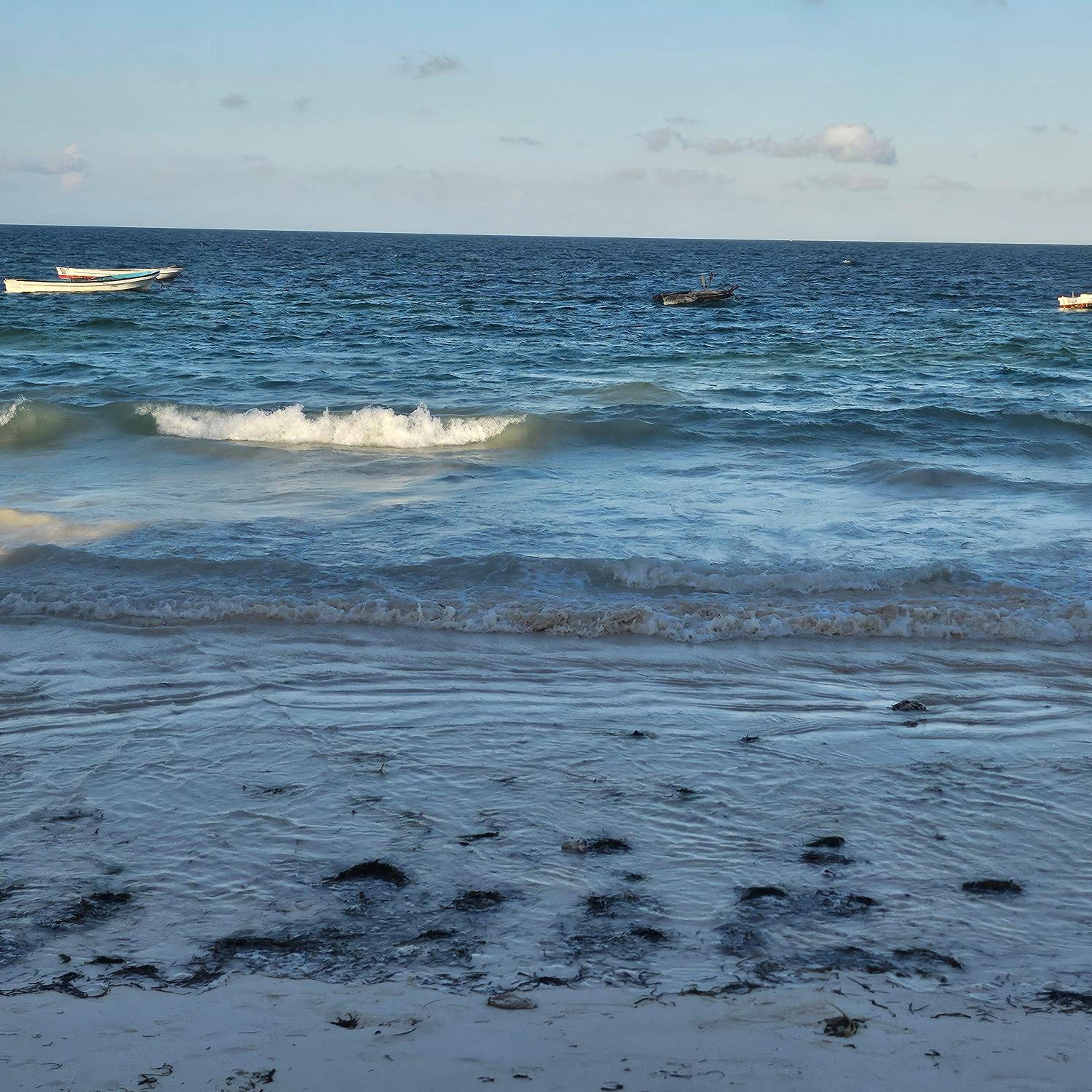 Beachfront 2BR Apartment in Uroa, Zanzibar - Sea Views & Direct Beach Access