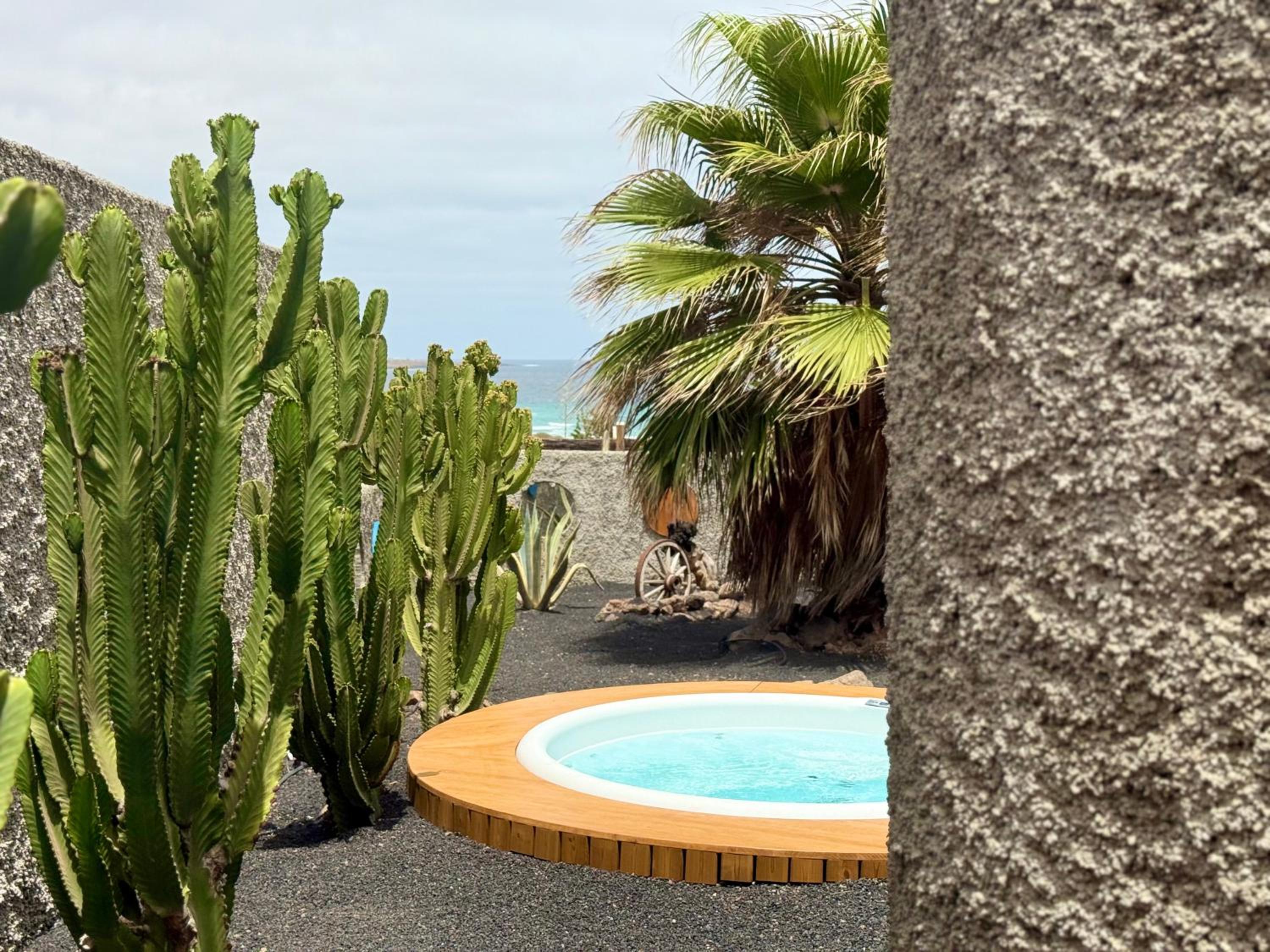 Canaryislandshost l Origen