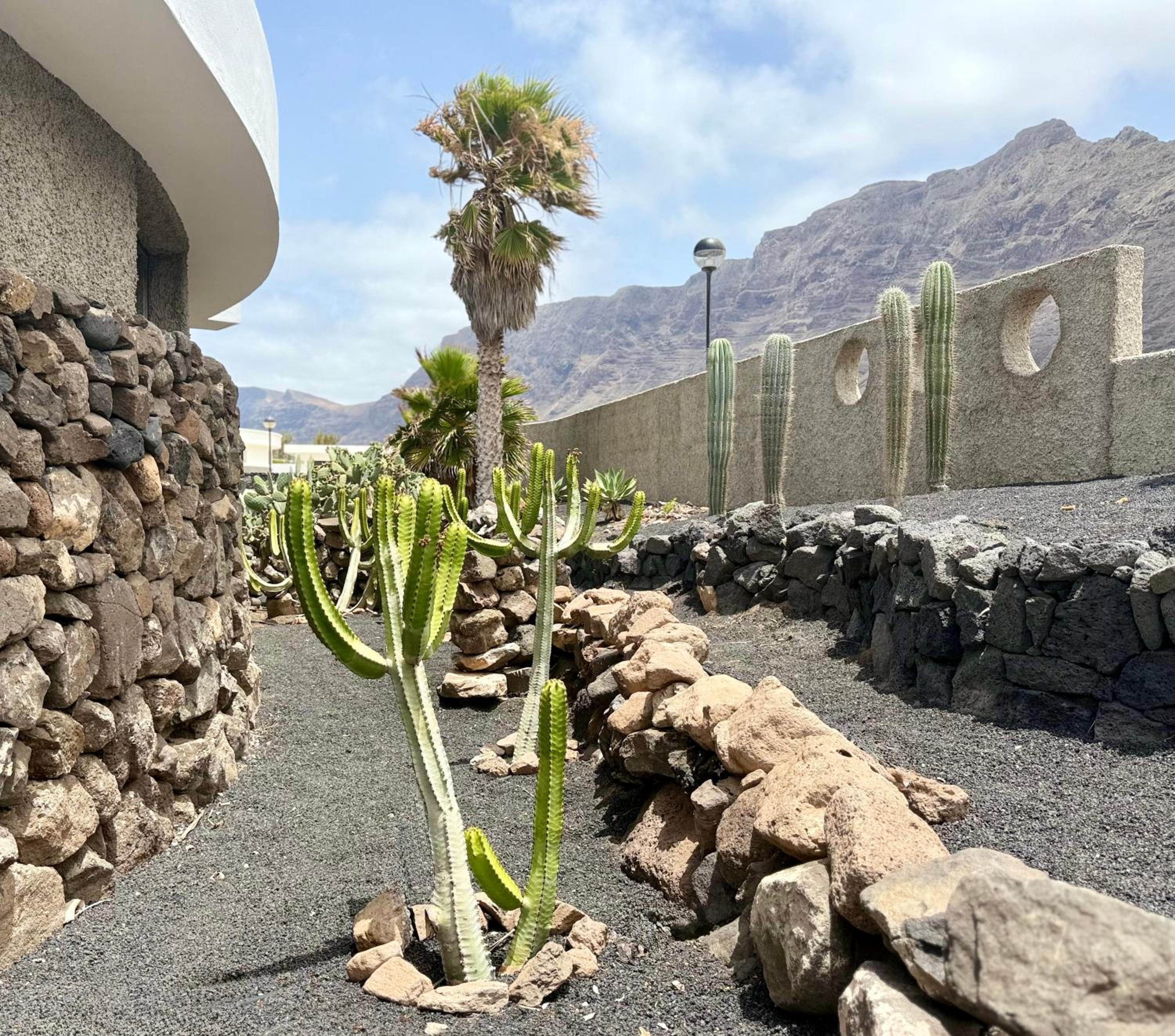 Canaryislandshost l Origen