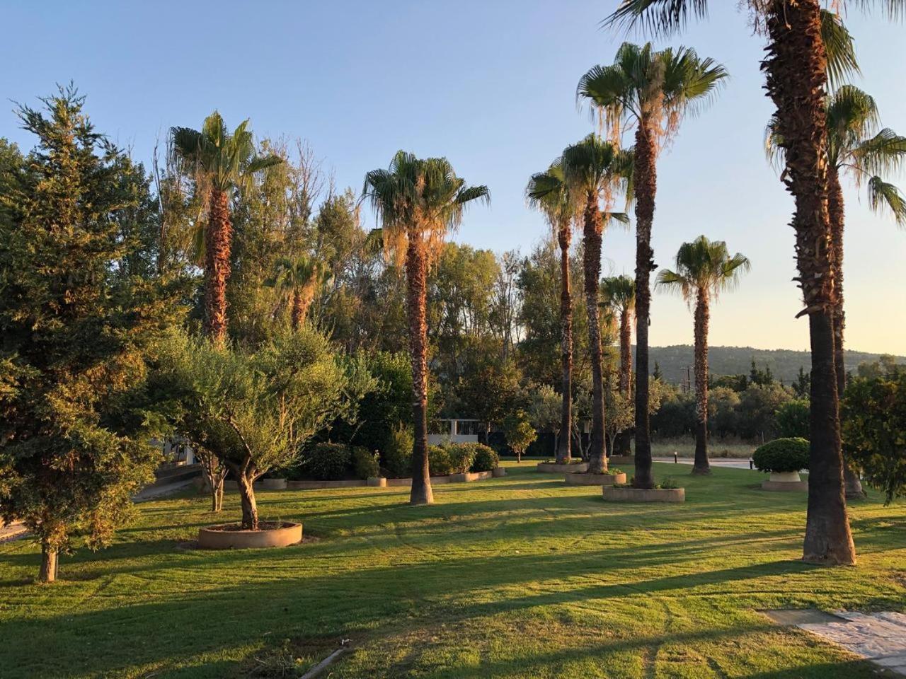 Evia Palm Beach Villa