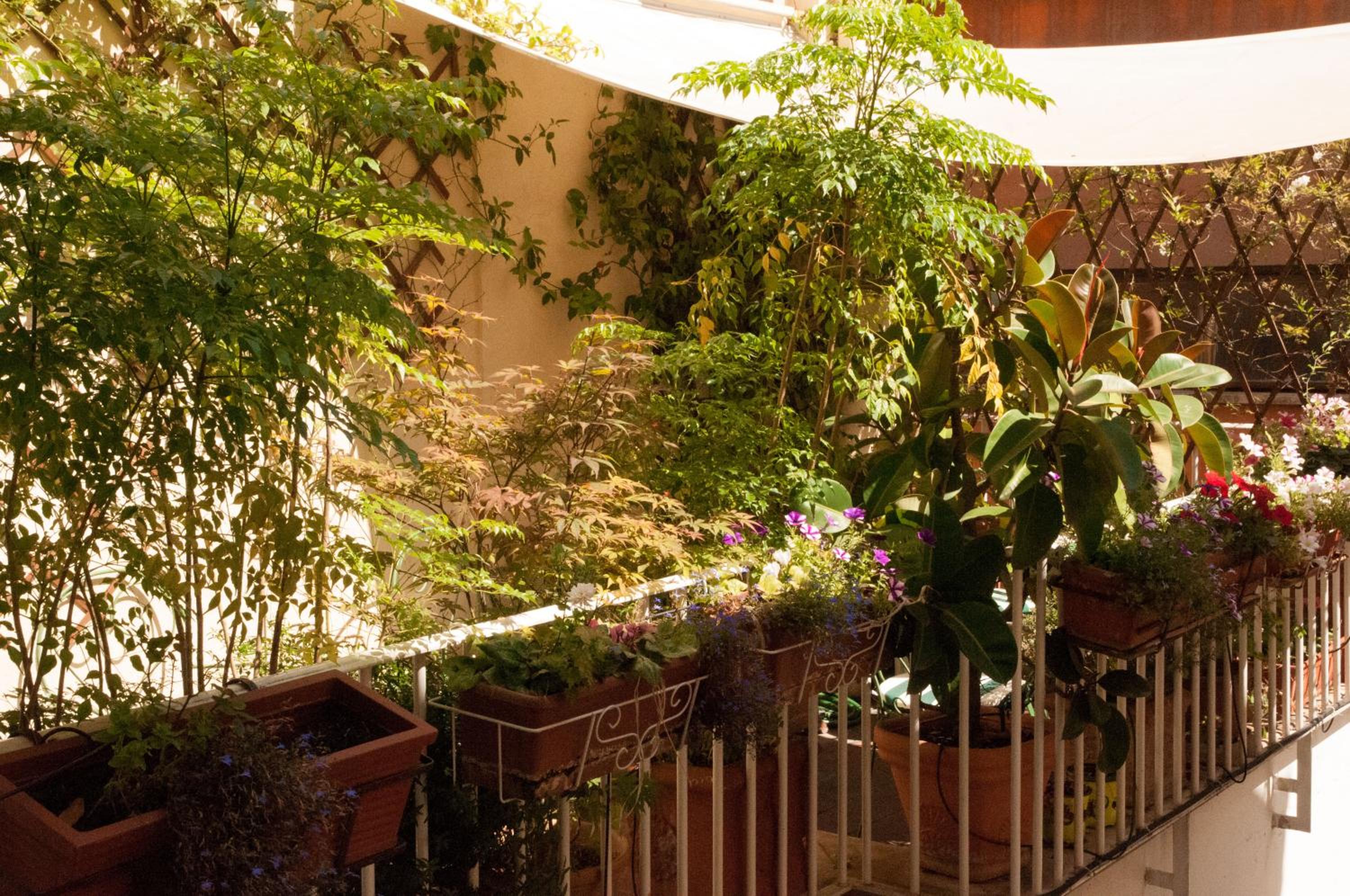 Relais Teatro Argentina