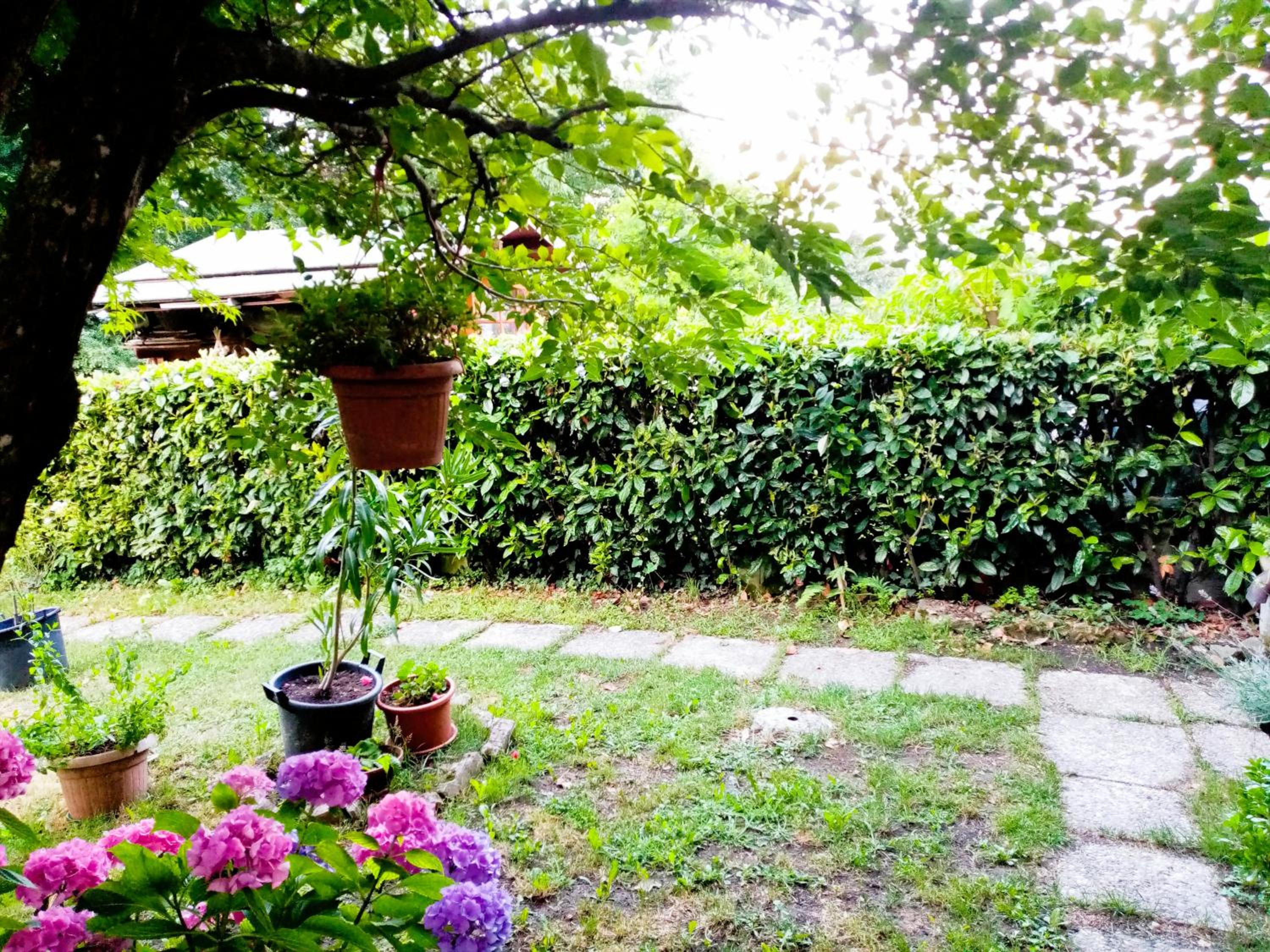 casa minnie