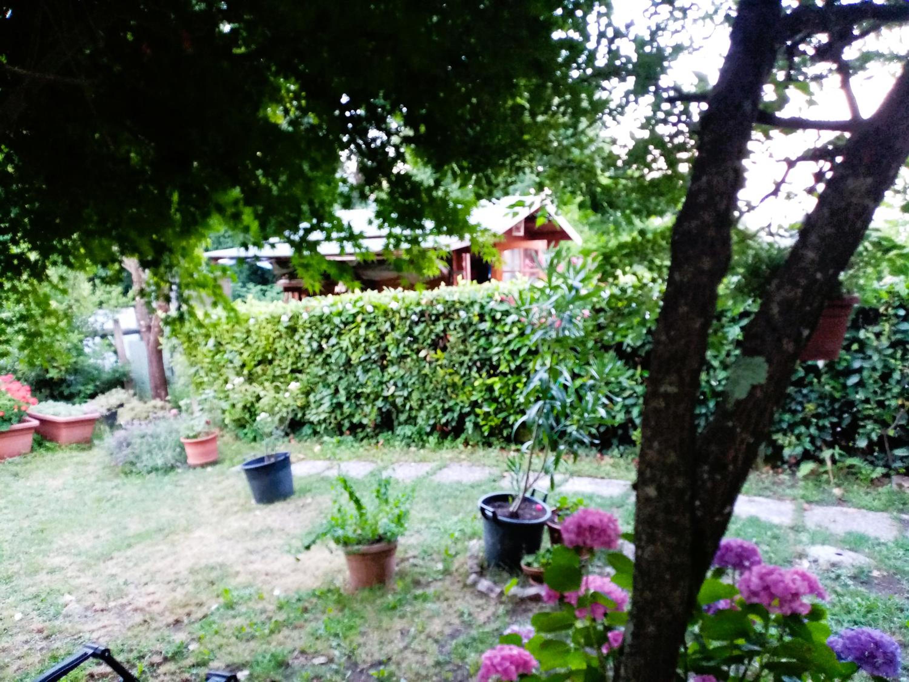 casa minnie