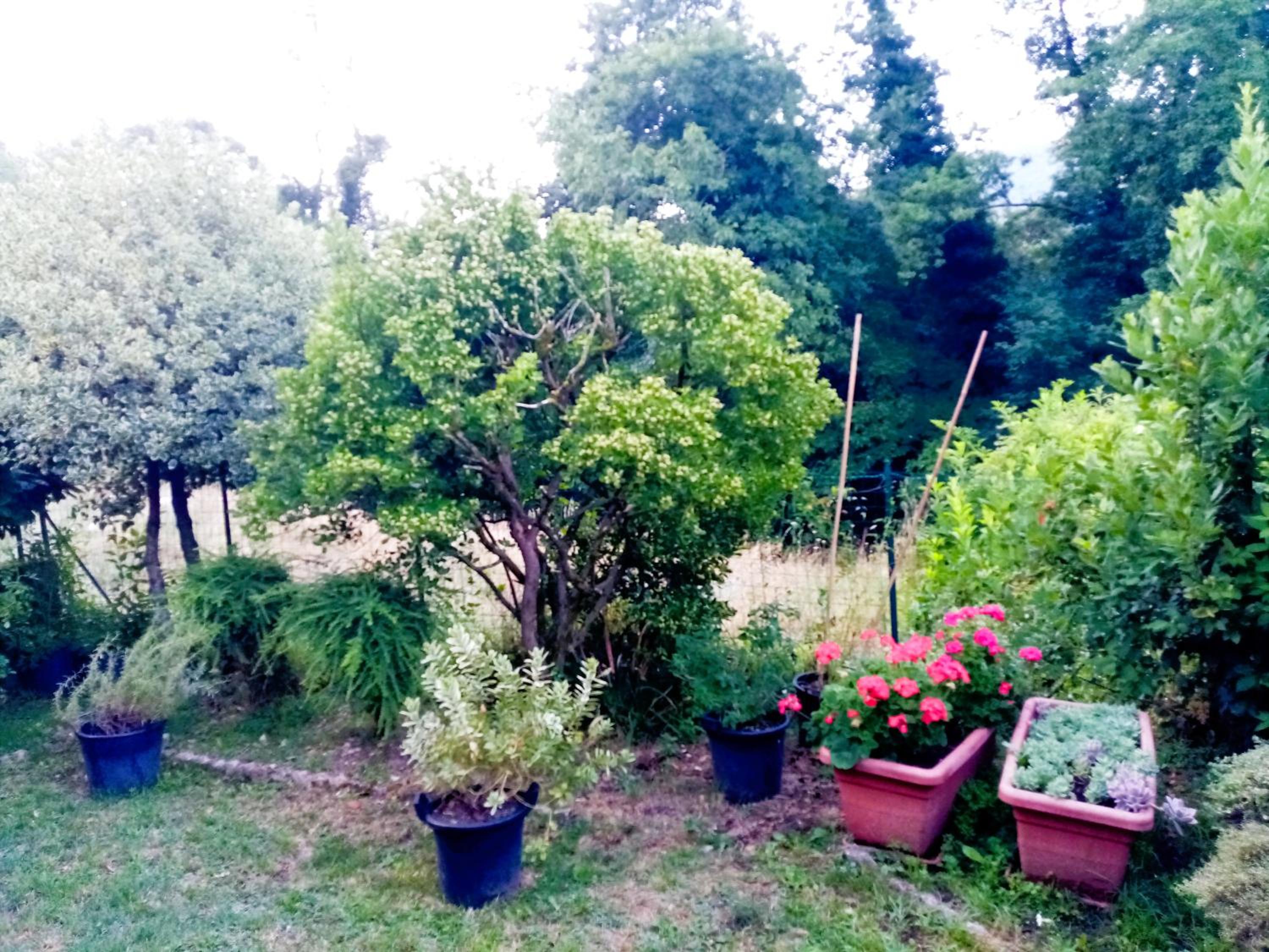 casa minnie