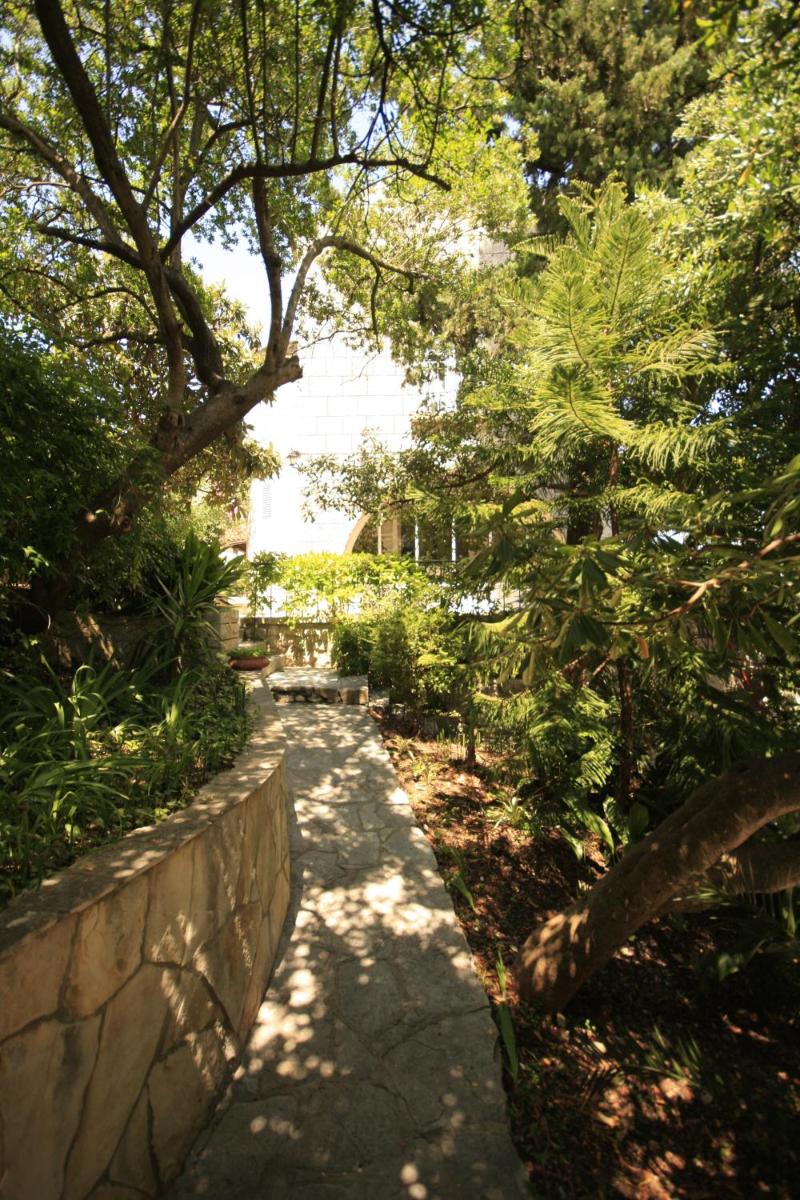 Photo 28
