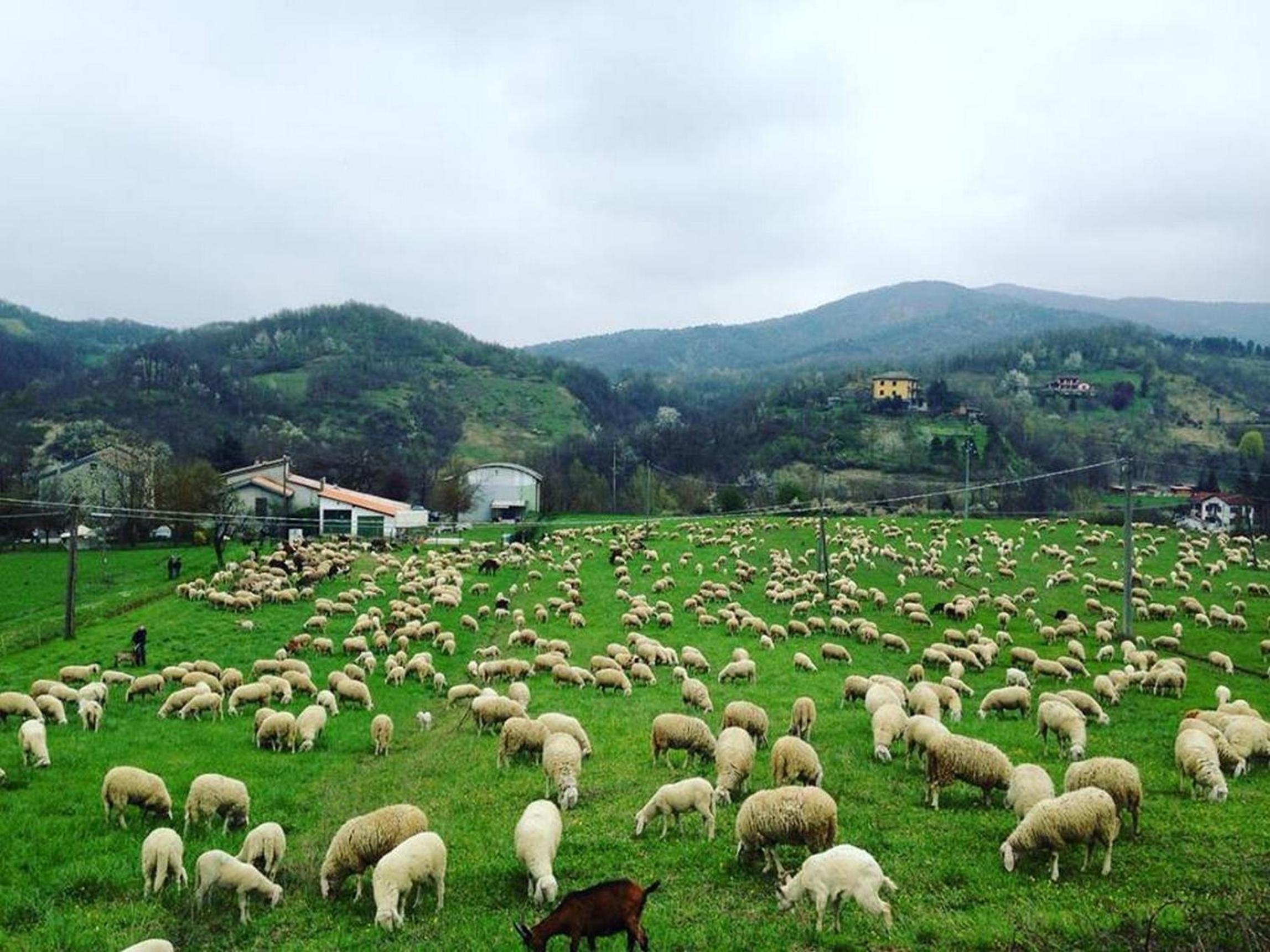 B&B Cascina Santa Gavi