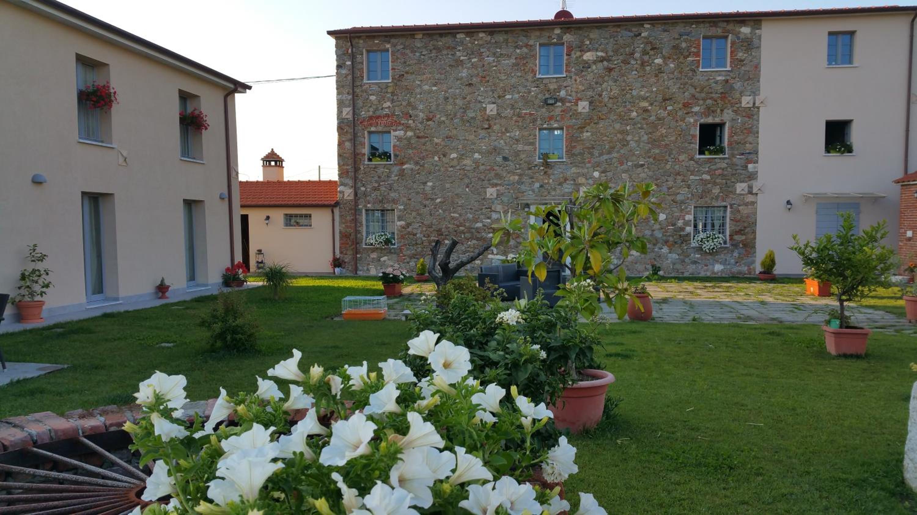 Photo 6