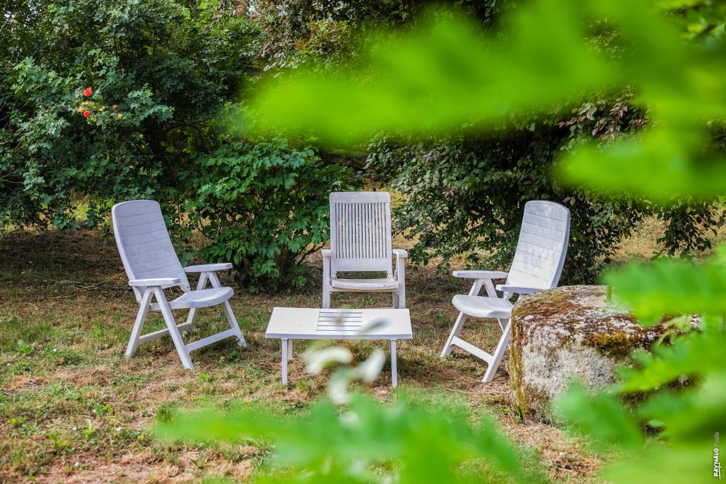 Le Mazet de Pendaries - Jardin - Gaillac