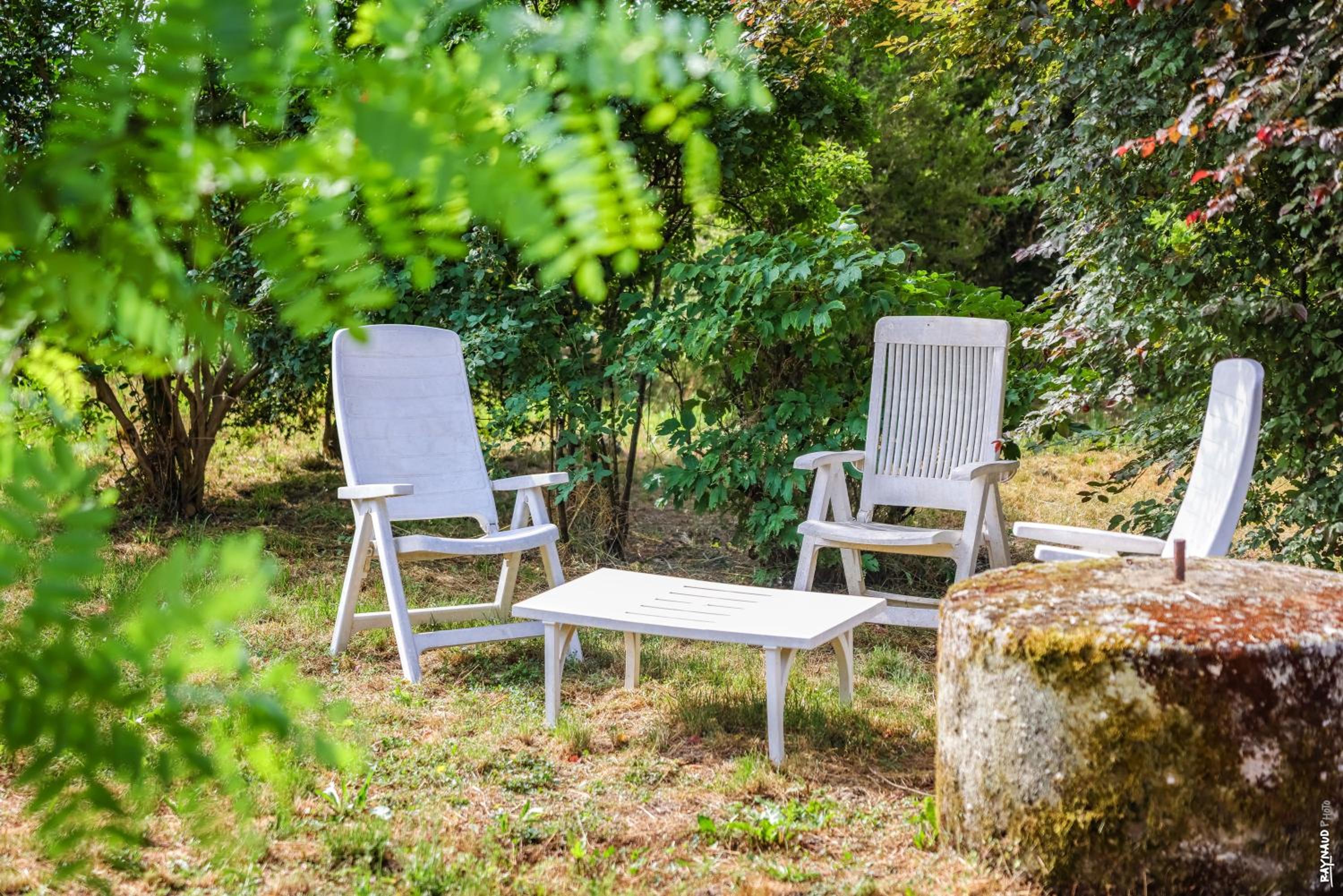 Le Mazet de Pendaries - Jardin - Gaillac