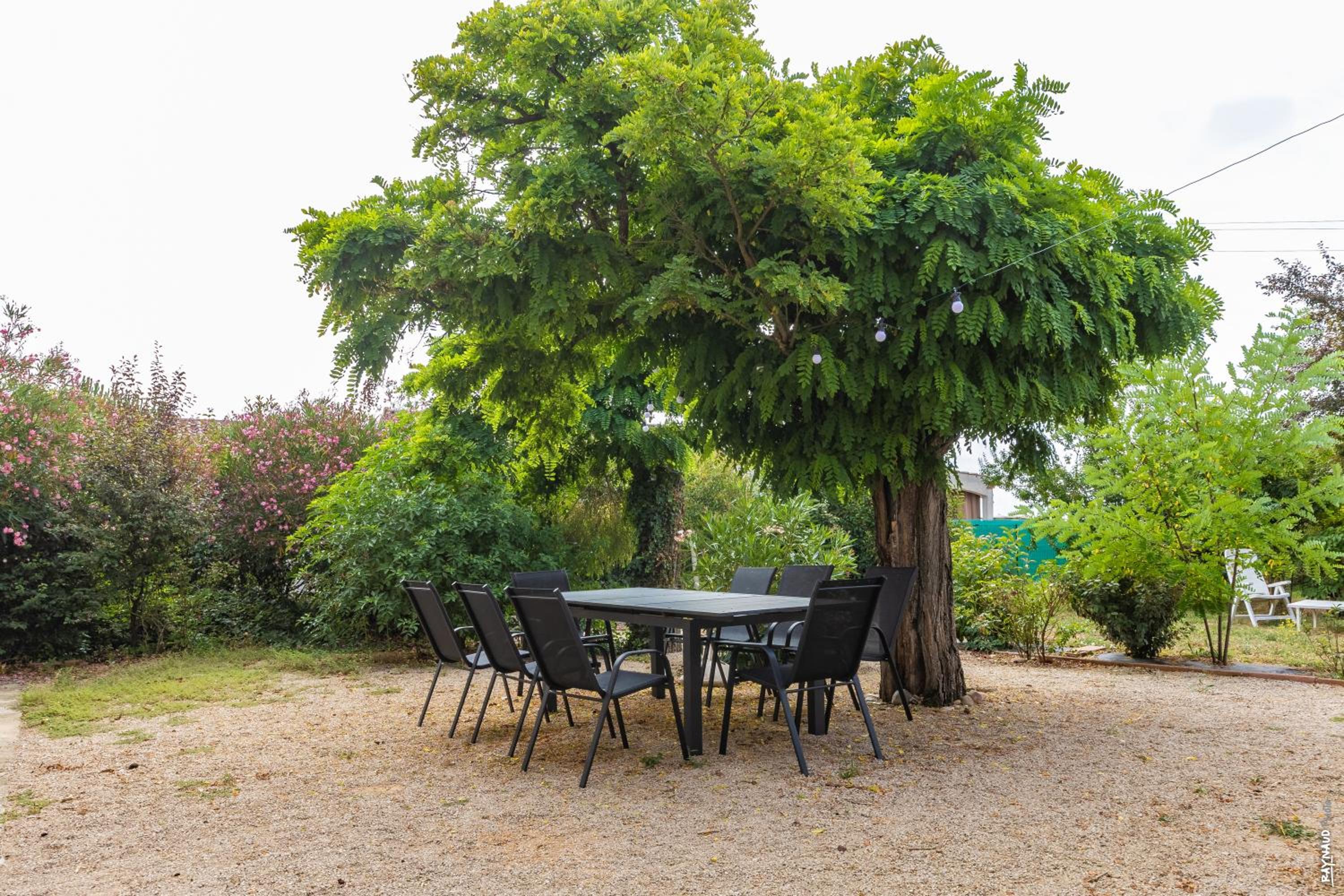 Le Mazet de Pendaries - Jardin - Gaillac