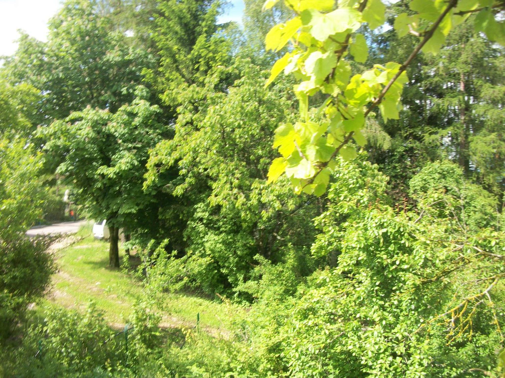 Photo 38
