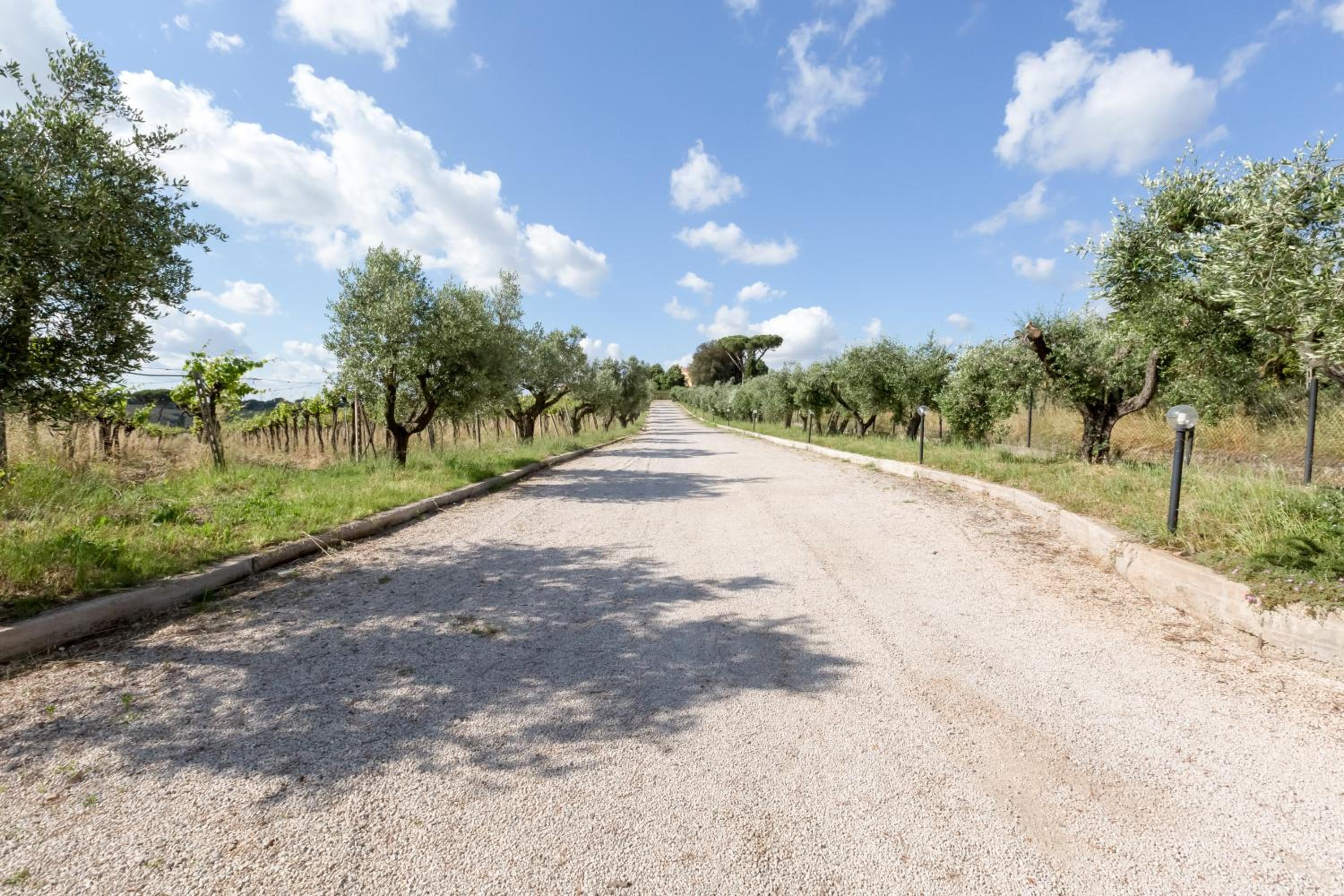 Grappoli di Sole
