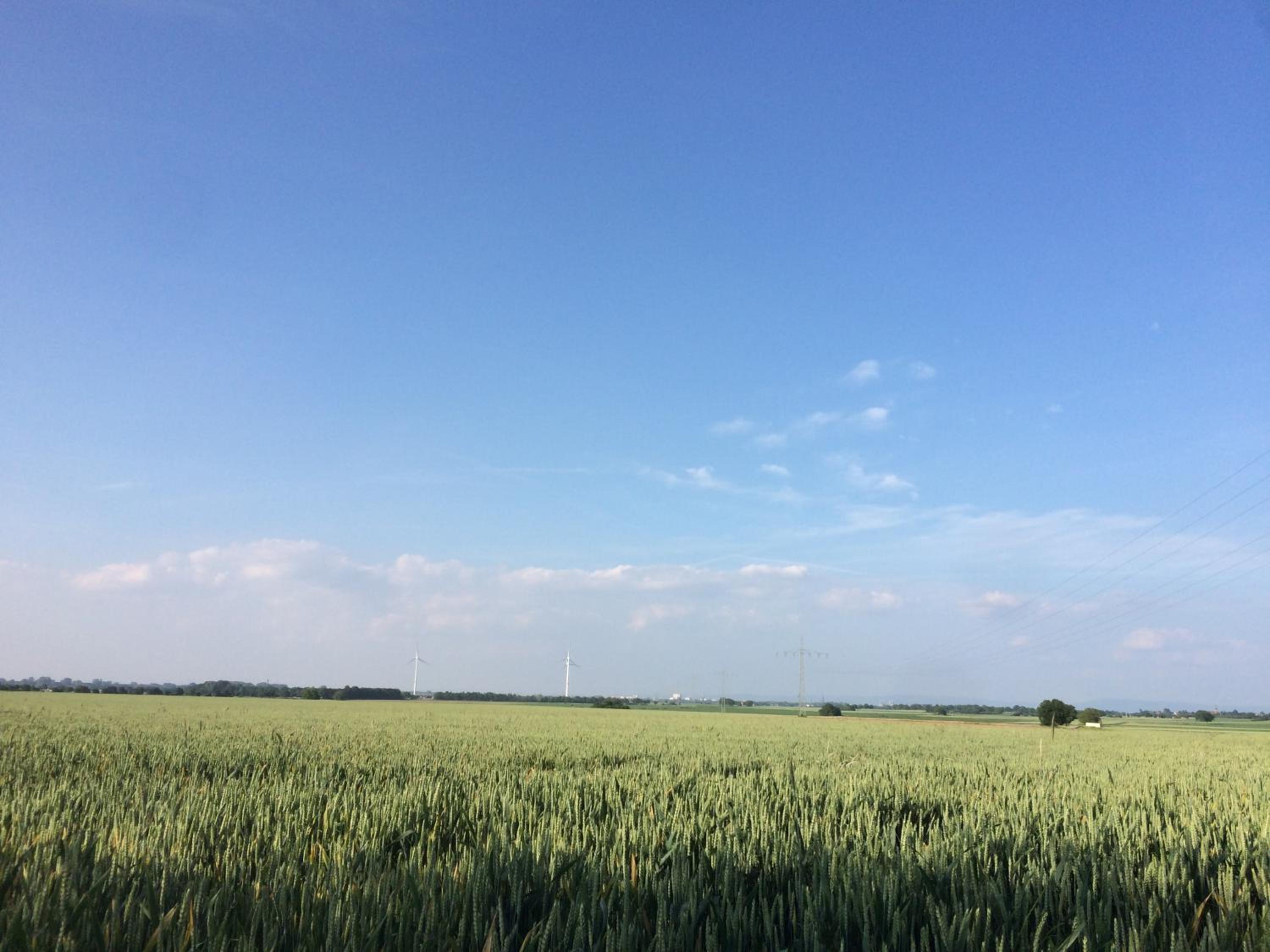 Alte Heimat
