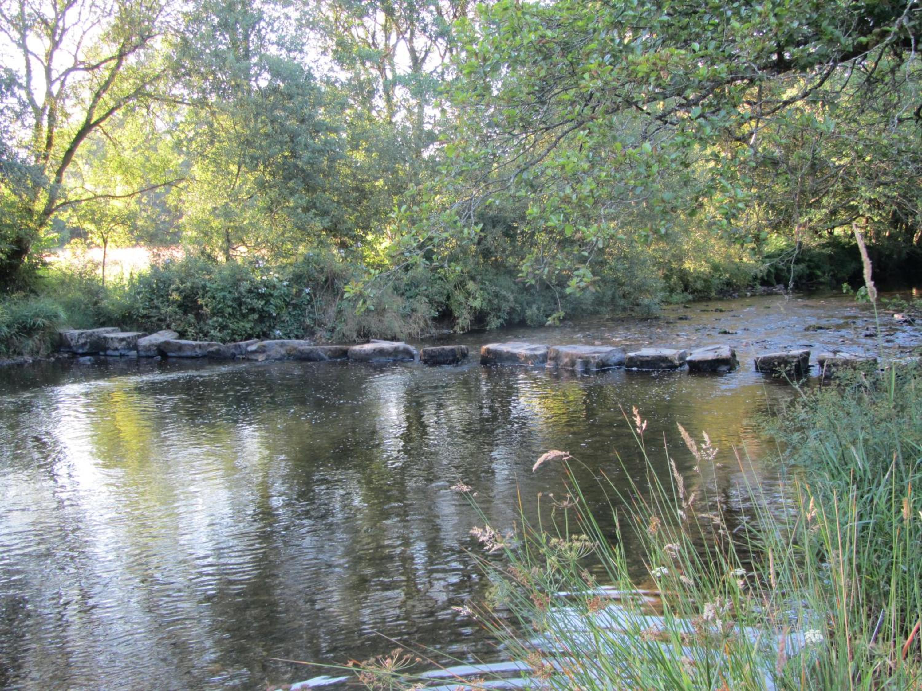 Kings Farm