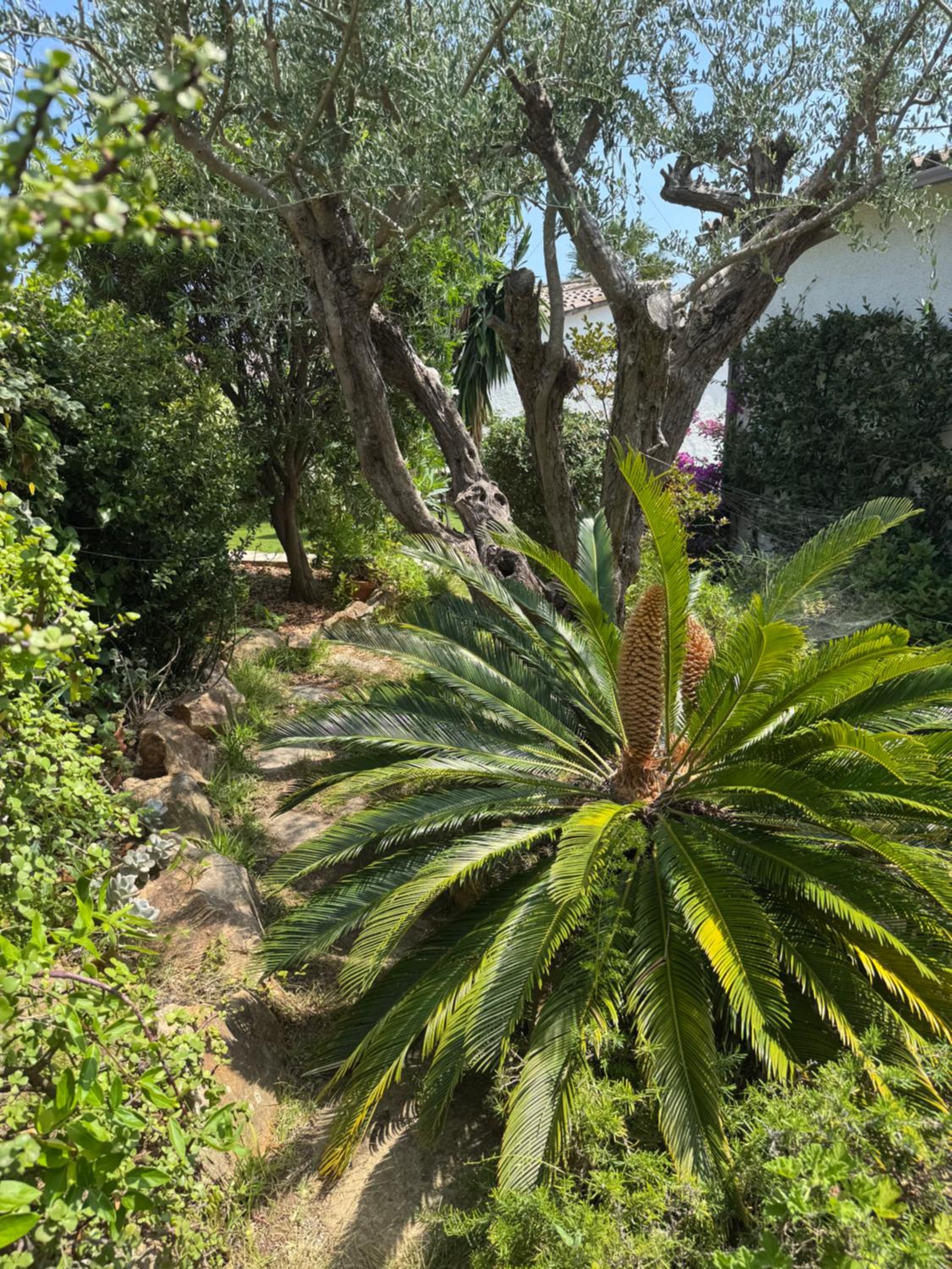 Villa Escorpion Tossa de Mar
