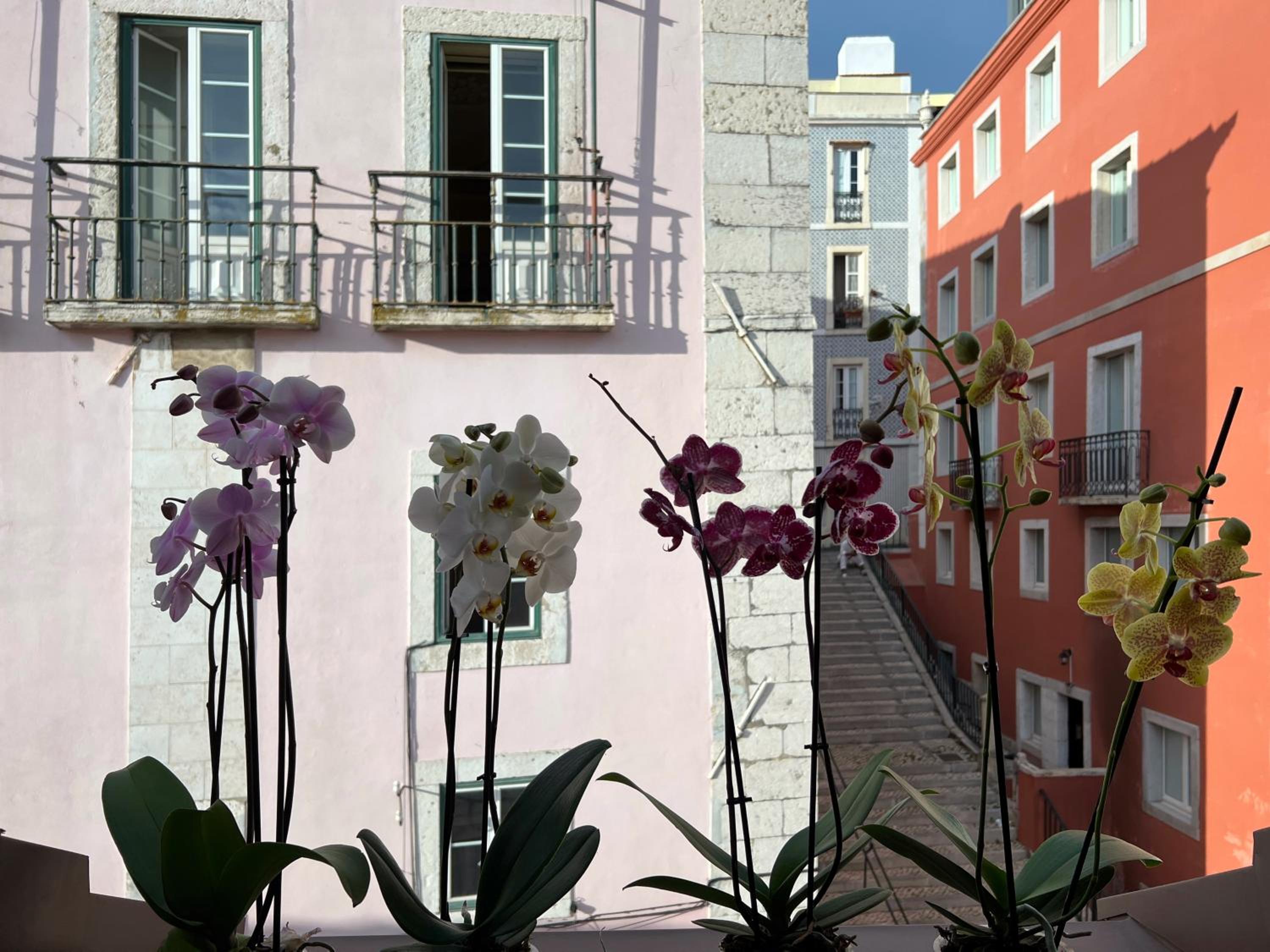 Azzulea Rossio Apartments