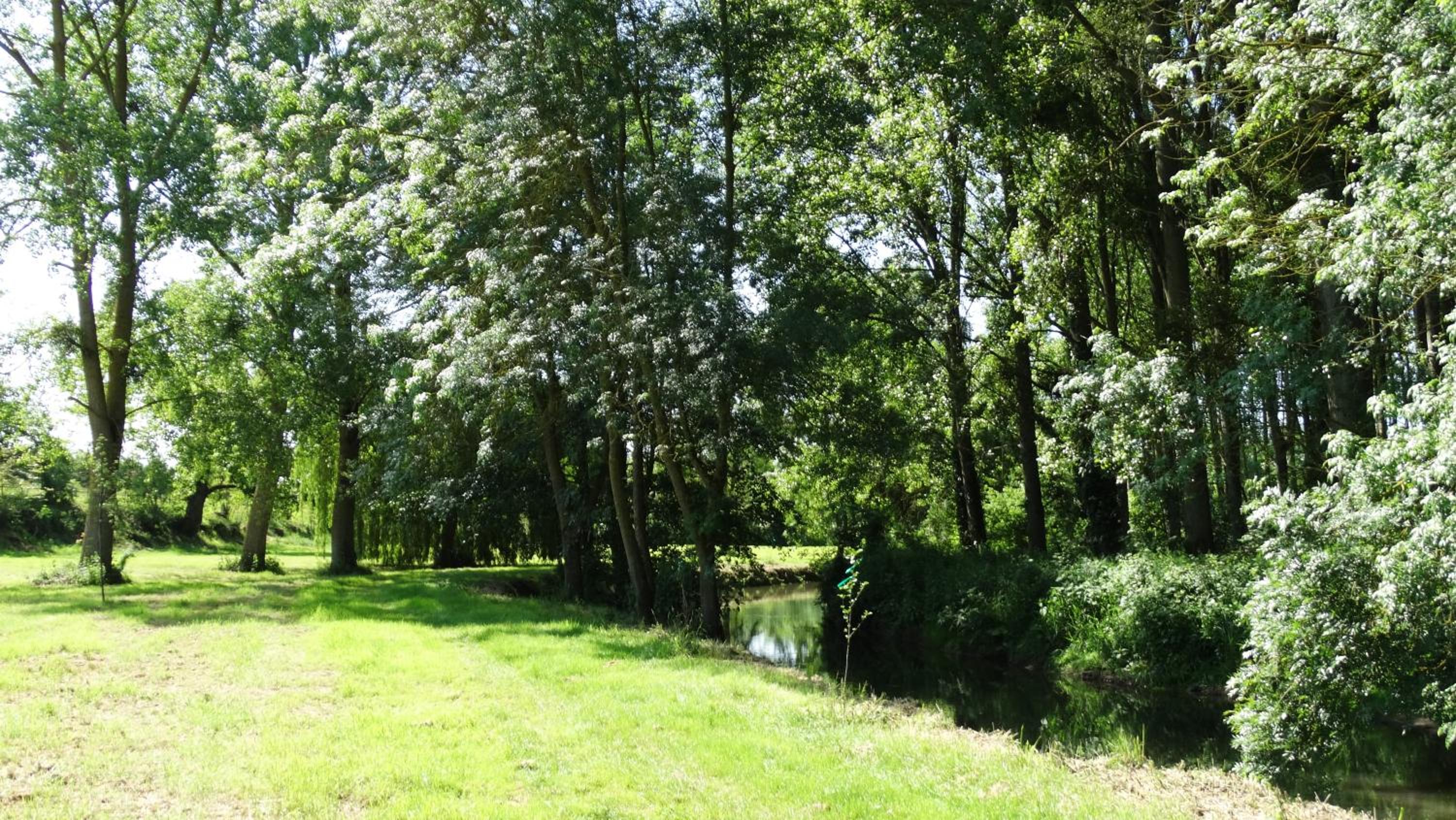 Moulin de reigner