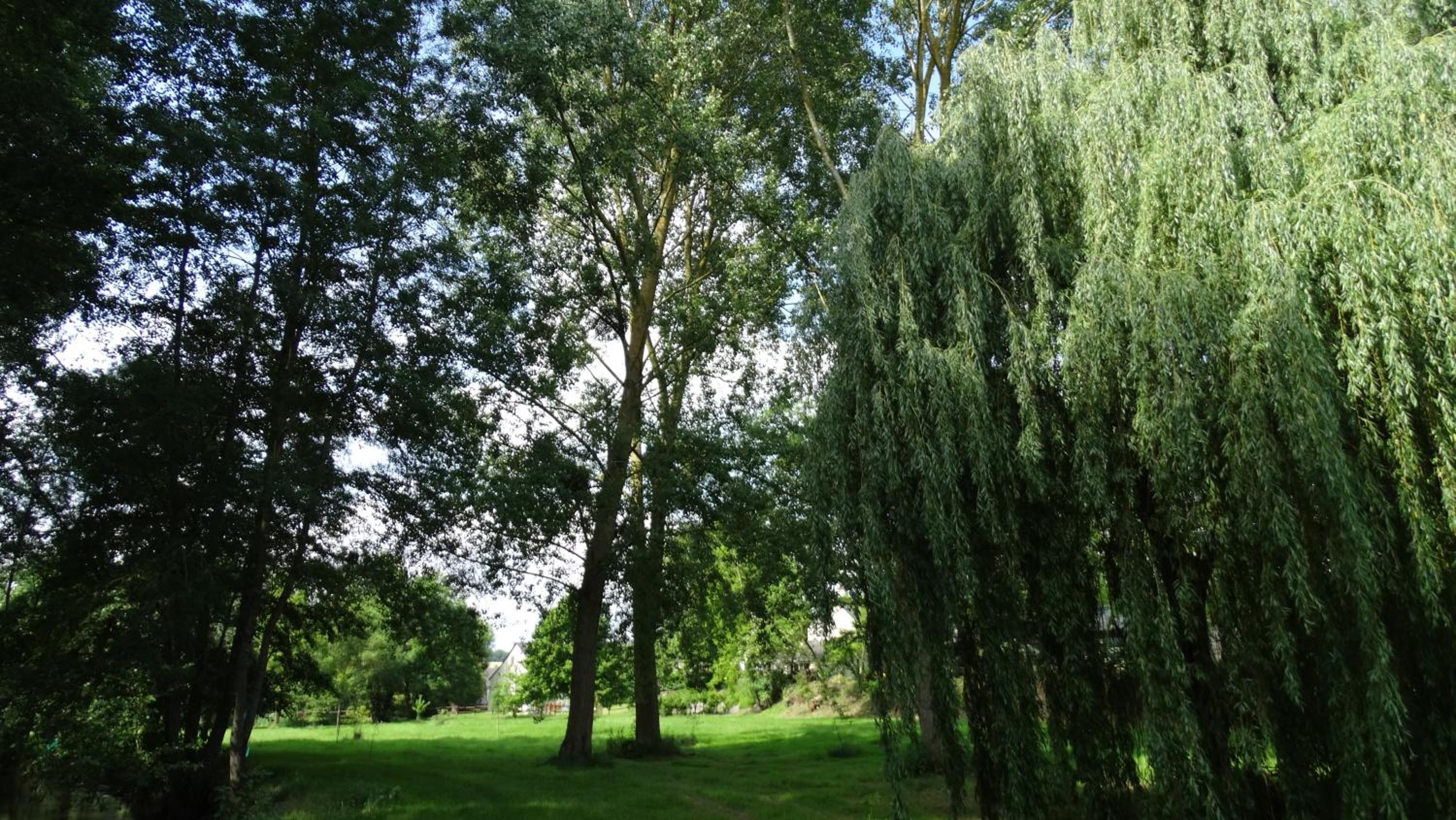 Moulin de reigner