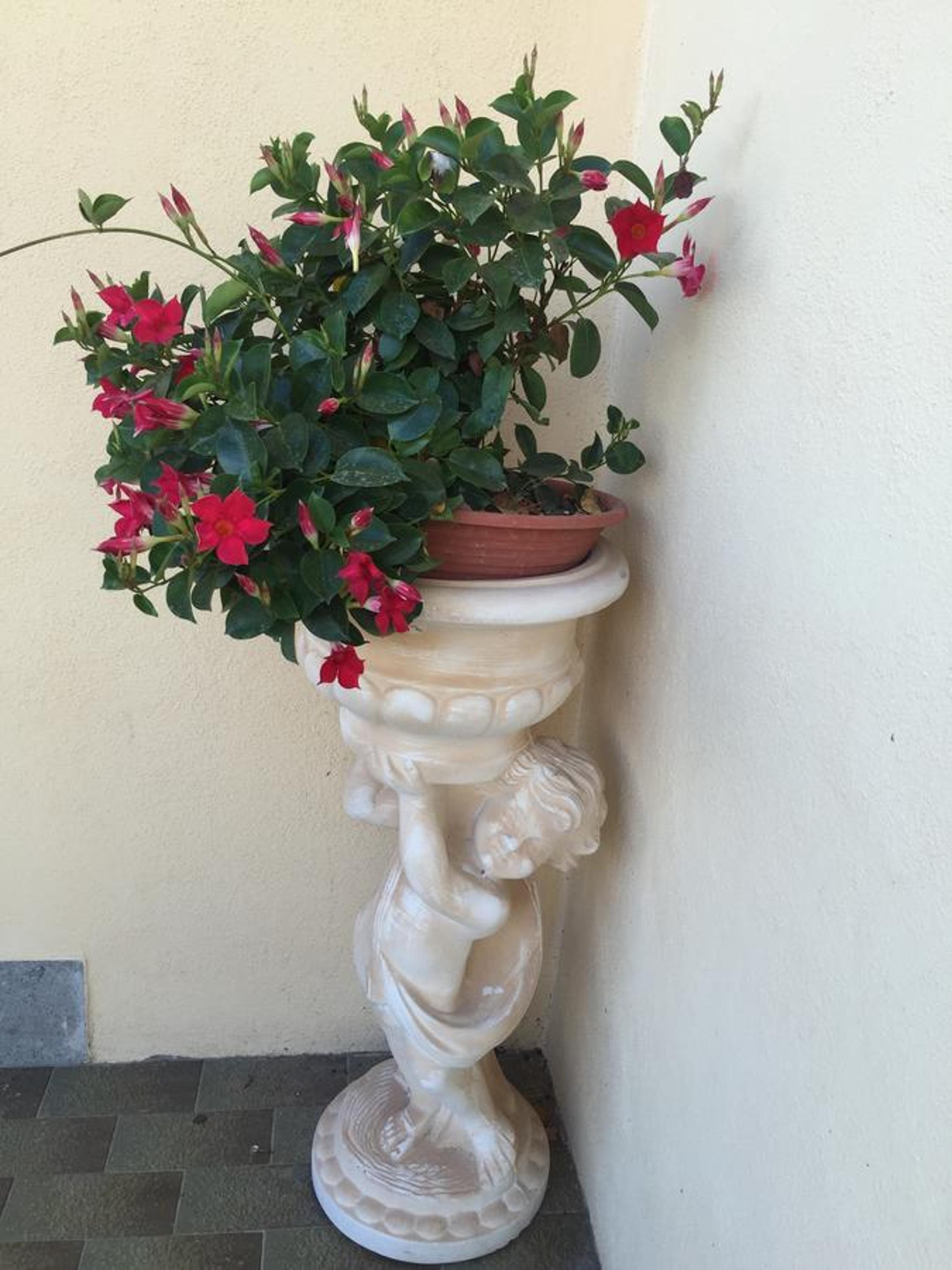 B&B Dolce Casa