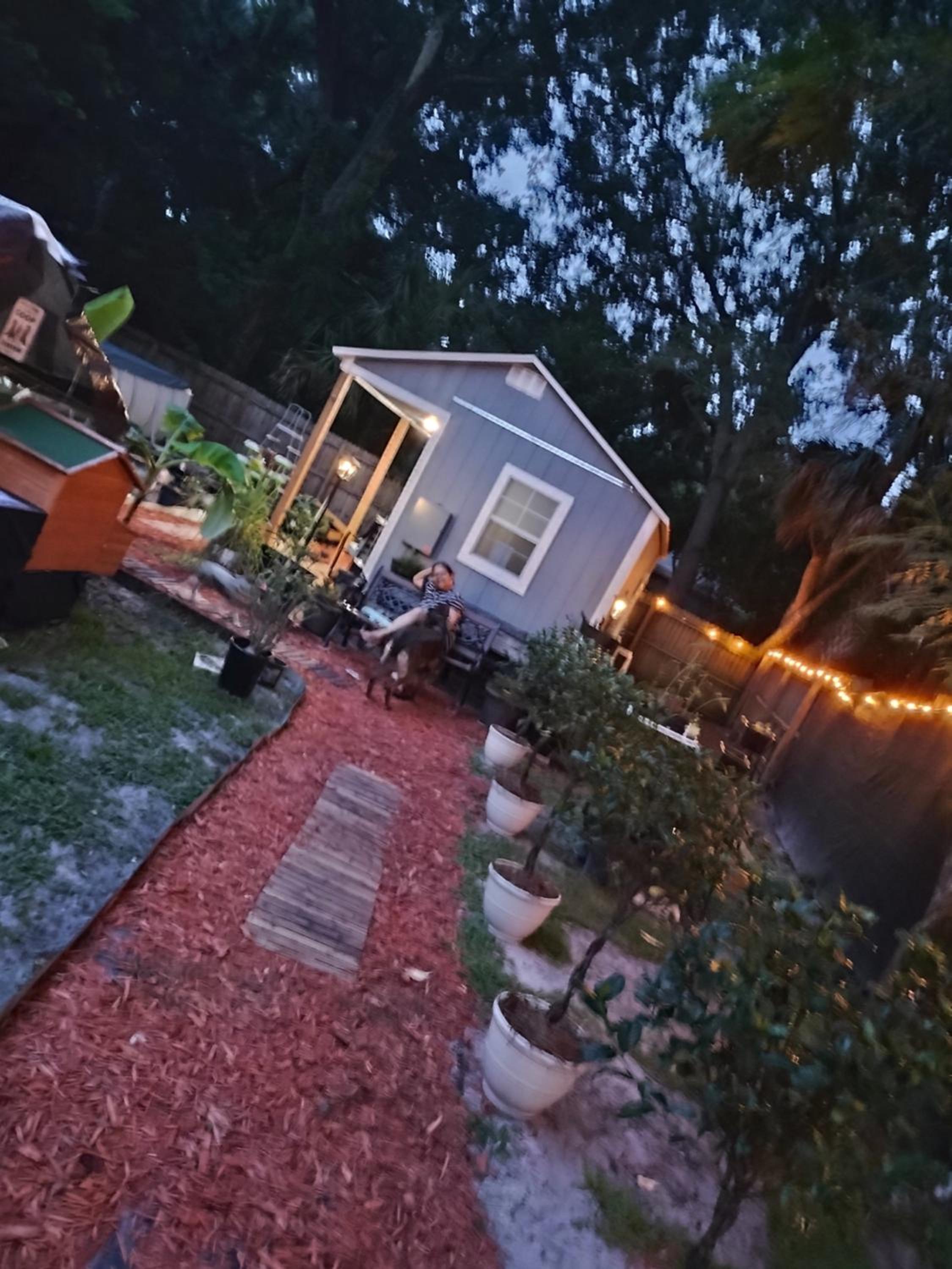 Tiny home barn style in backyard with Animals