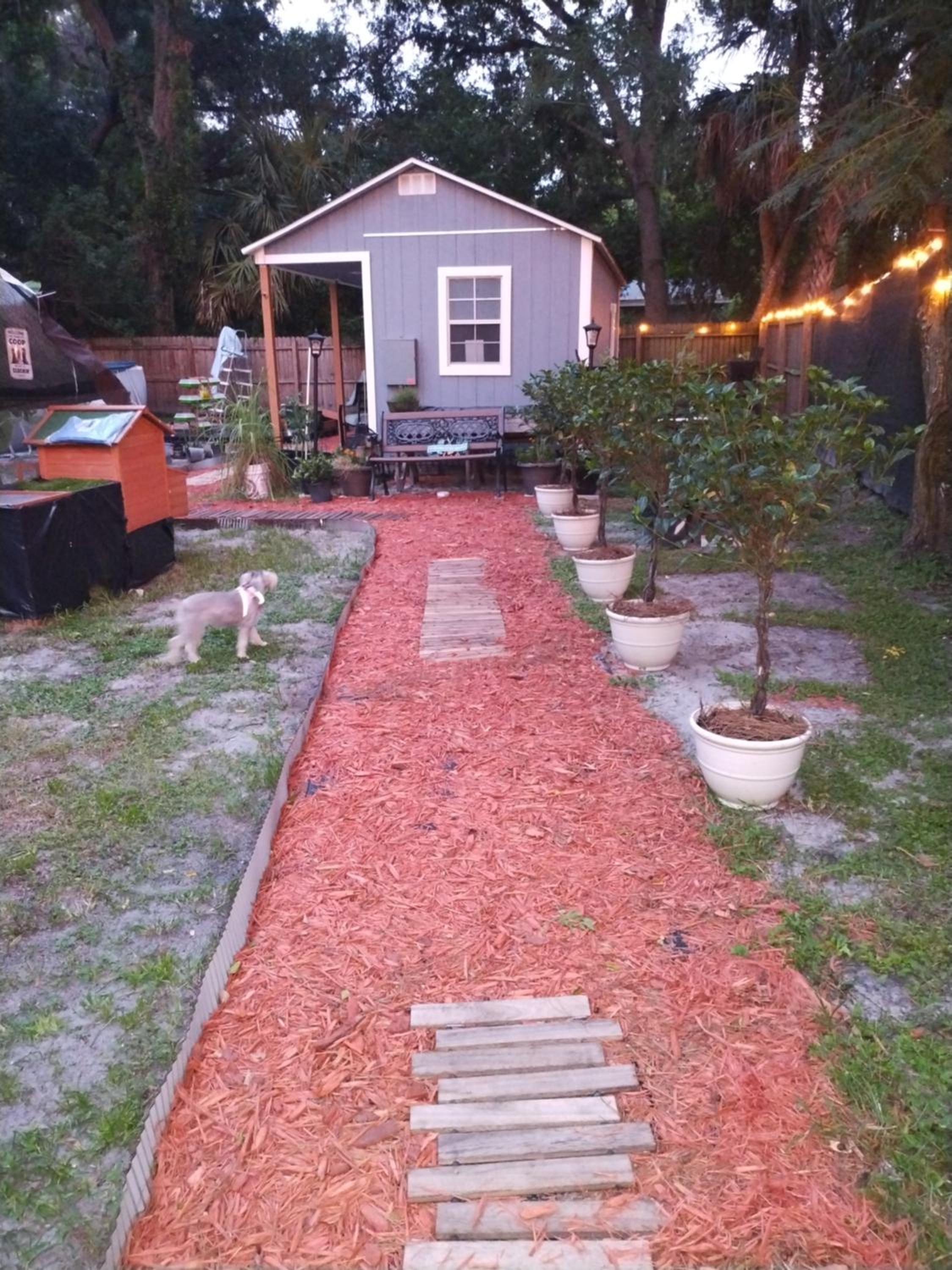 Tiny home barn style in backyard with Animals