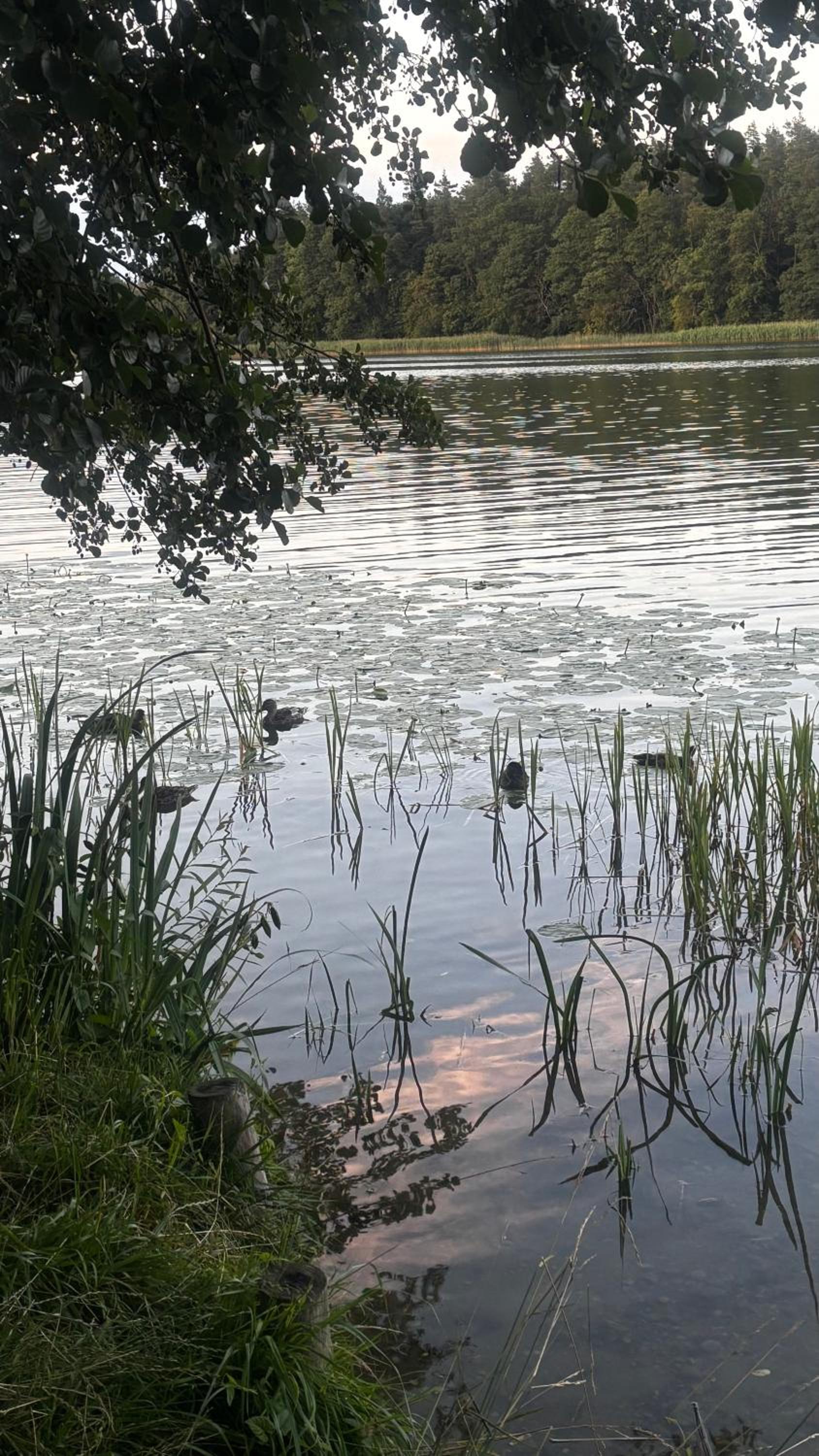 Photo 21