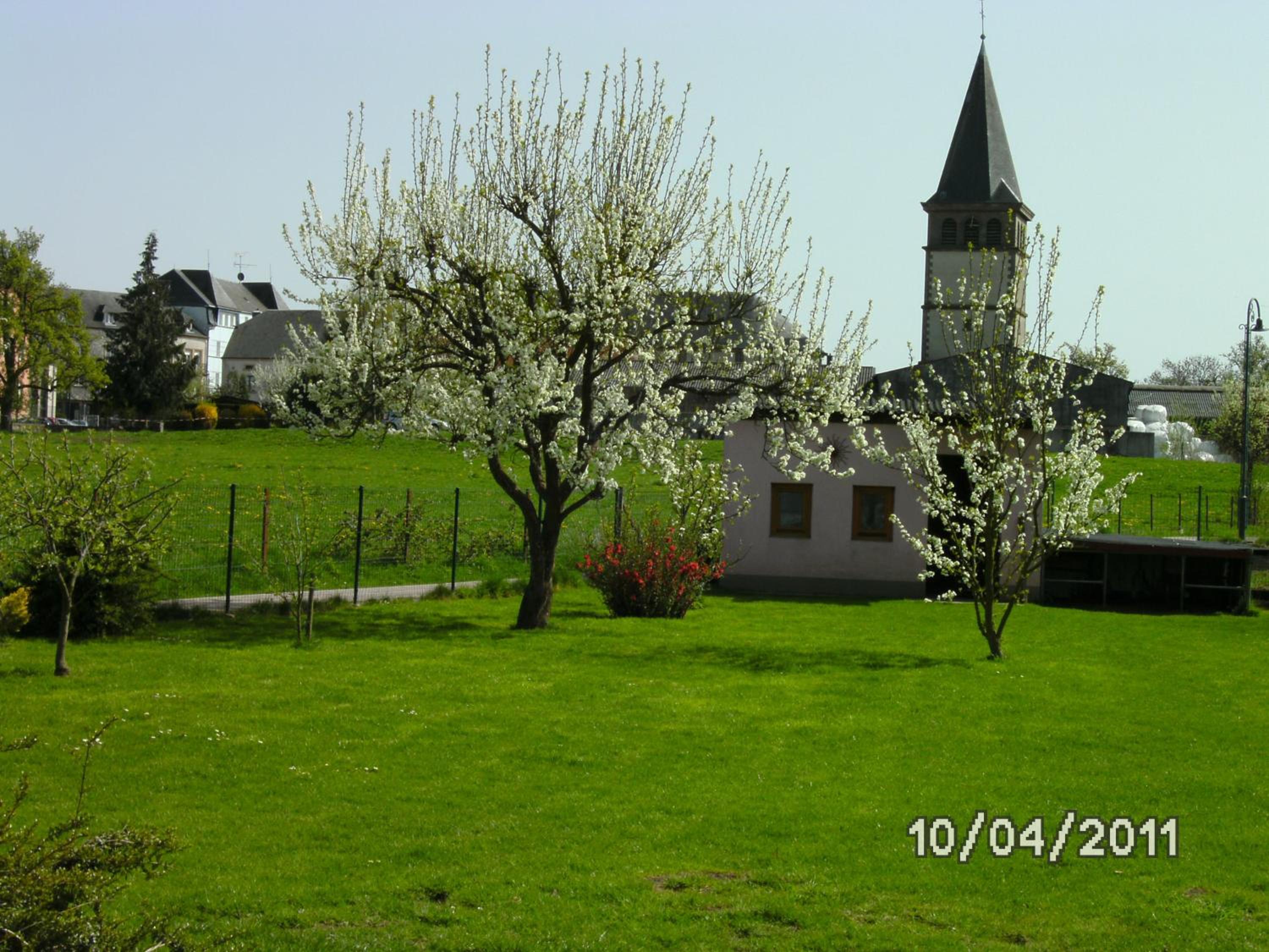 Photo 13