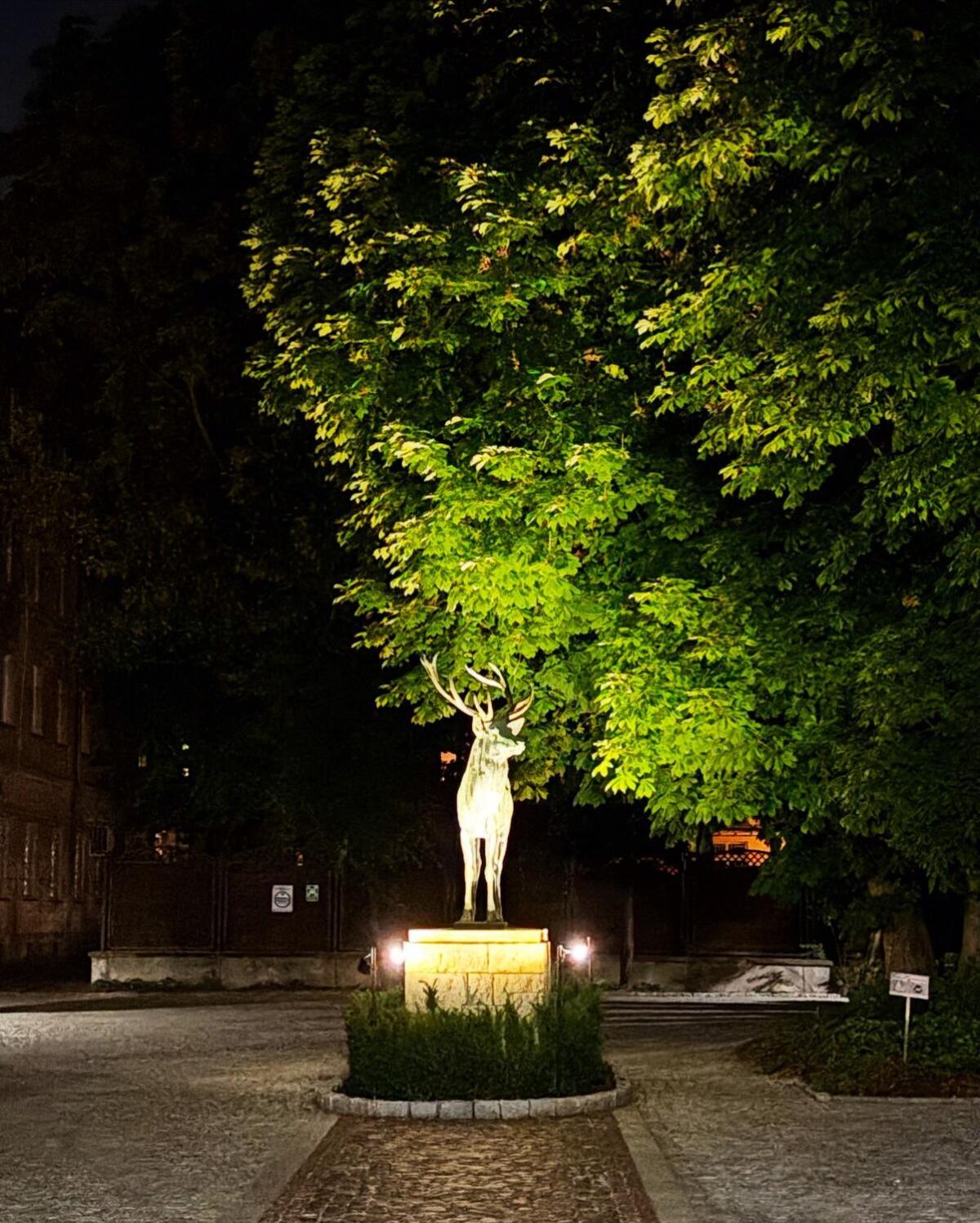 Nowy Świat - Centrum, Stare Miasto ,Atrakcje na krok