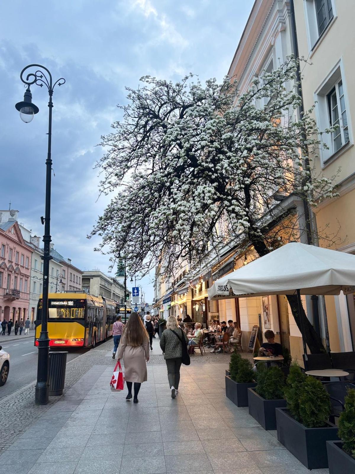 Nowy Świat - Centrum, Stare Miasto ,Atrakcje na krok