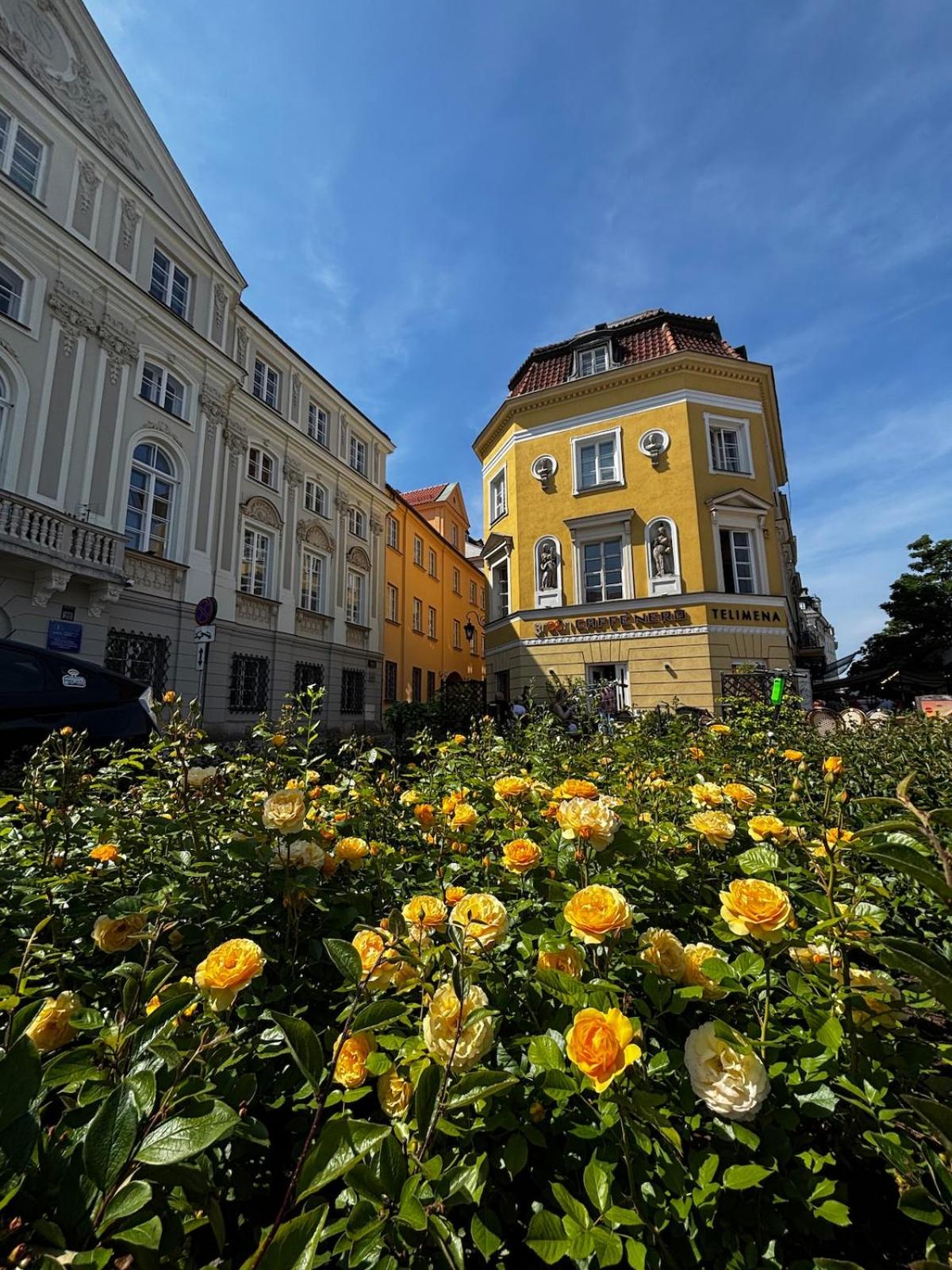 Nowy Świat - Centrum, Stare Miasto ,Atrakcje na krok
