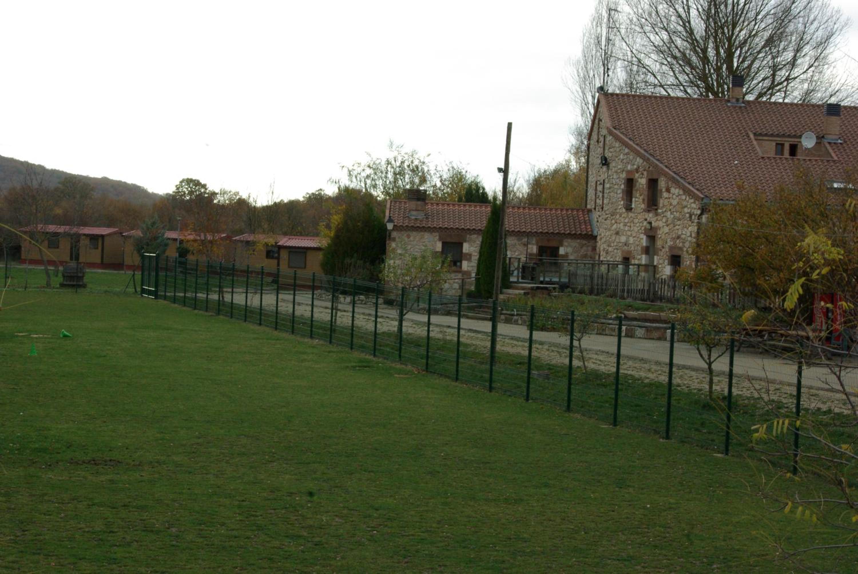 Photo 18