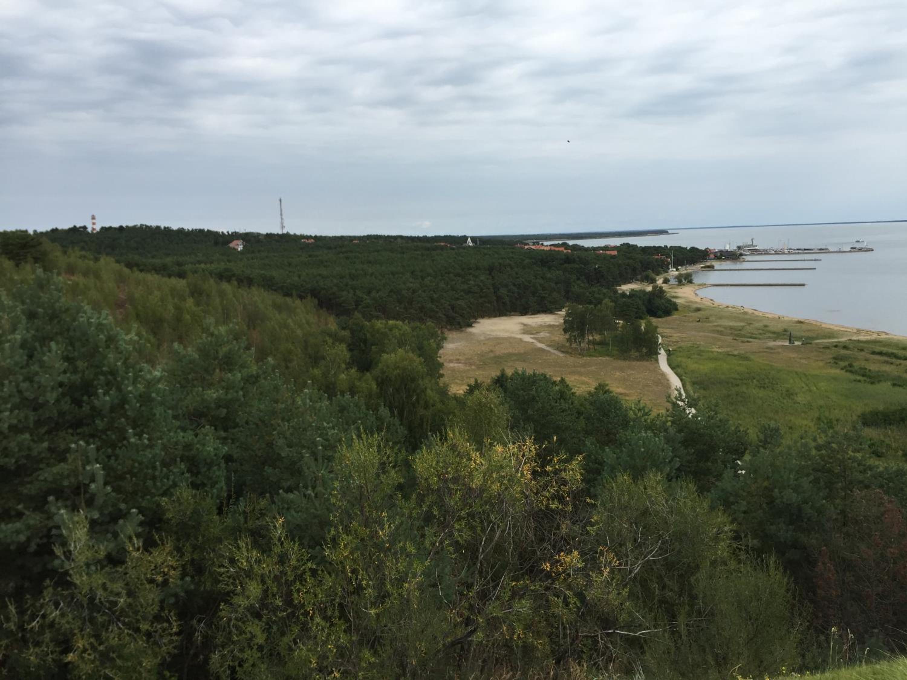 Photo 26