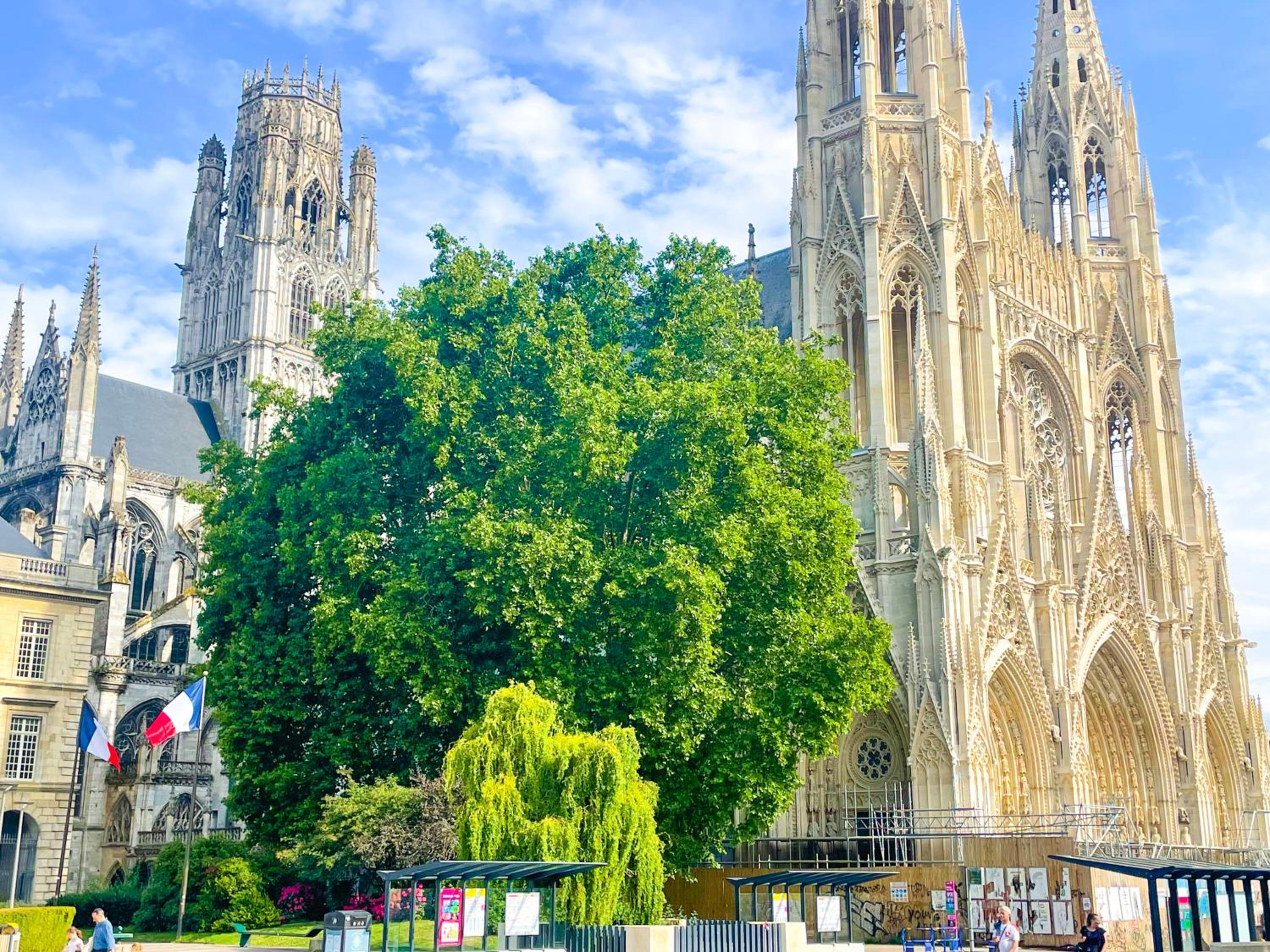 L'Hauss'Rouennais - Grand T2 Chic prés de l'Hôtel de Ville de Rouen- idéal couple-Pros
