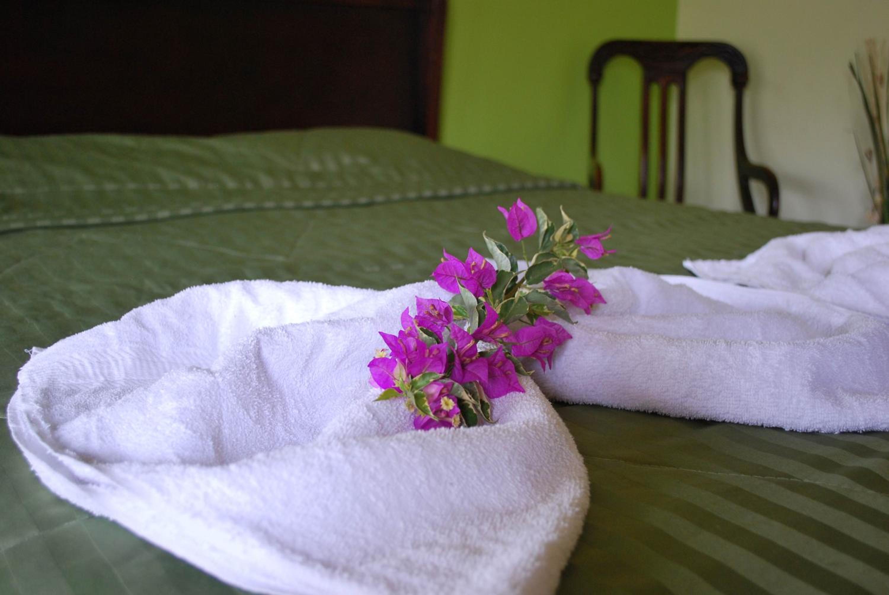Dos Palmas Studio Apartments