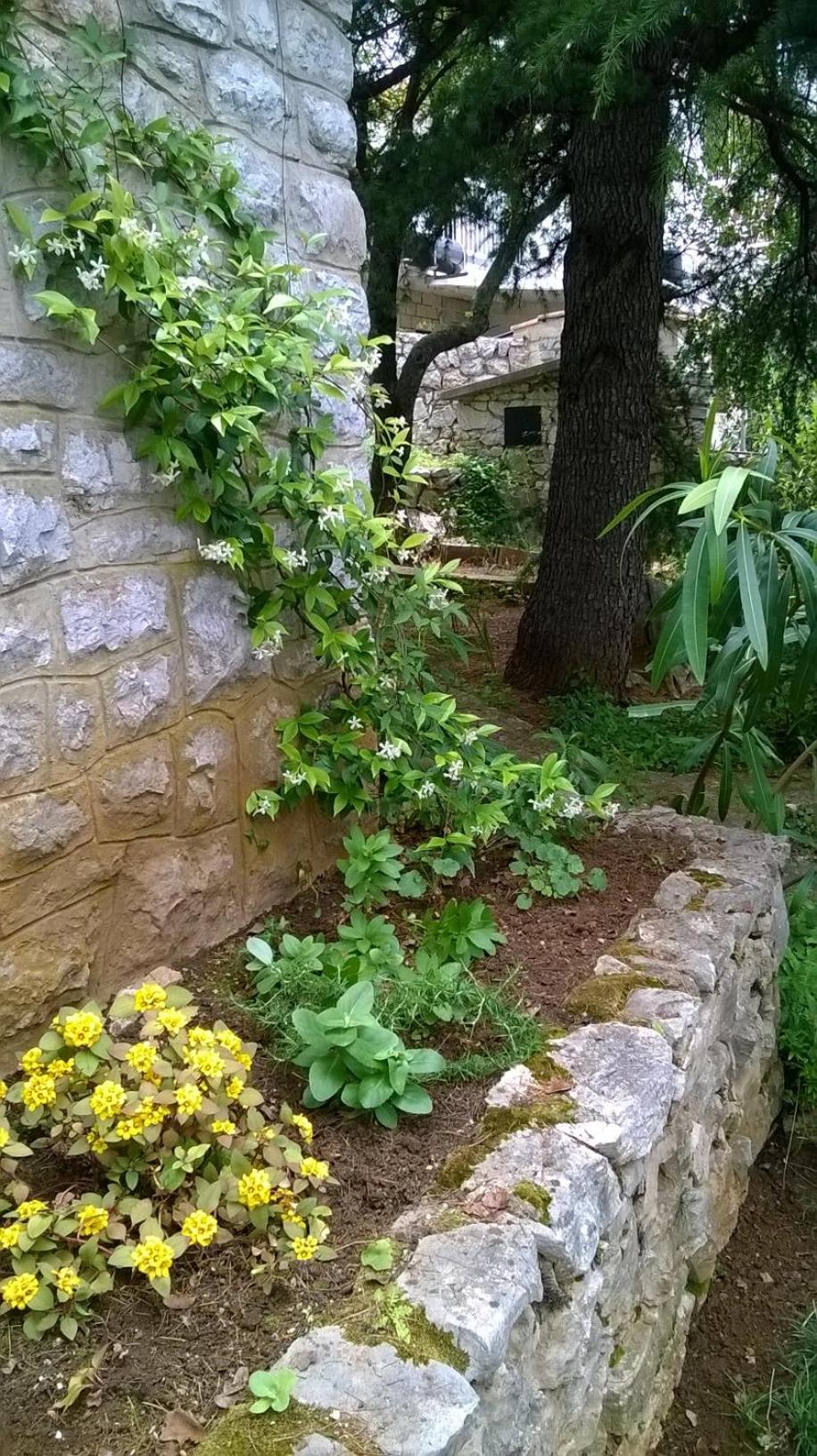 Photo 40