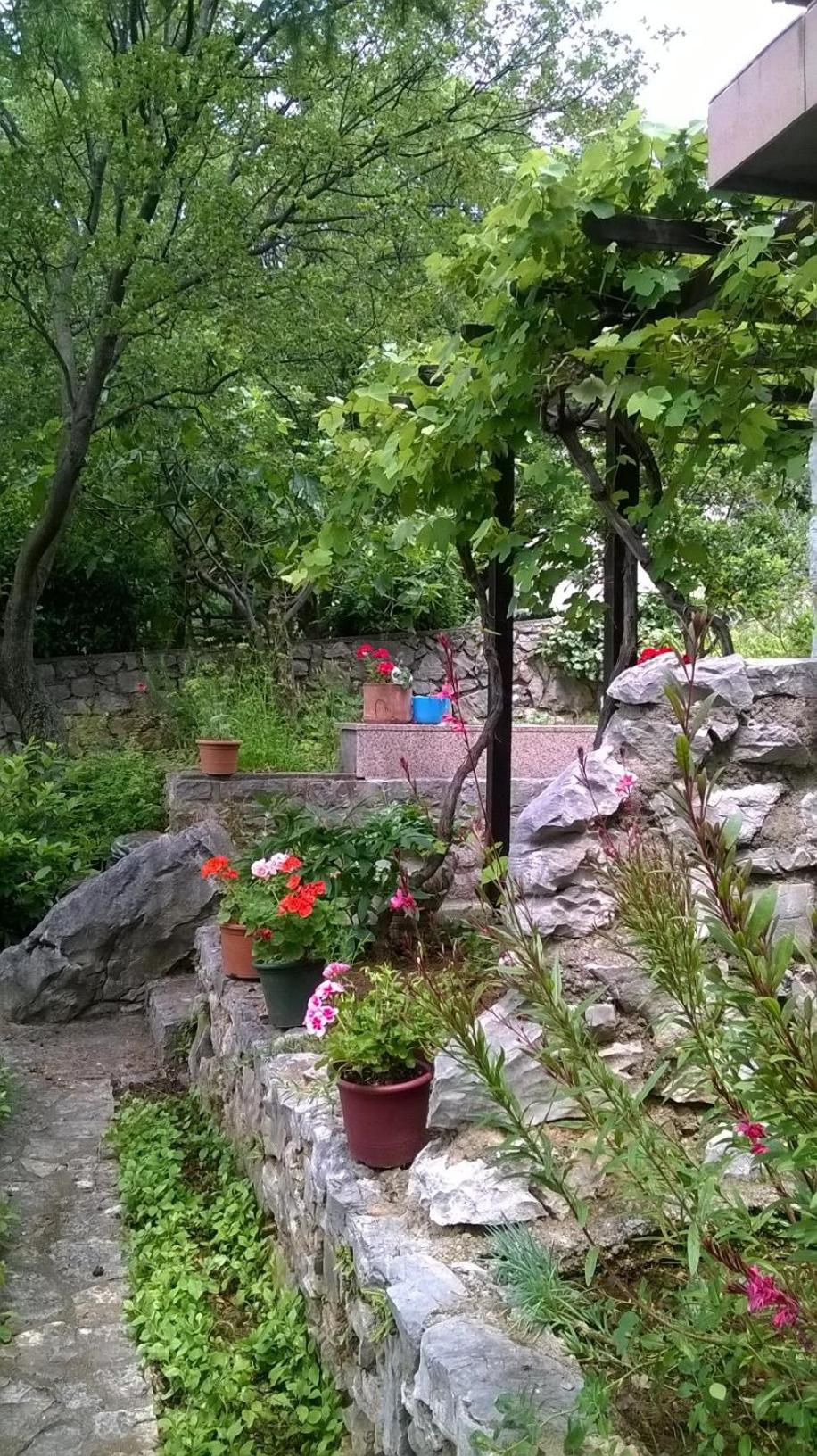 Photo 37