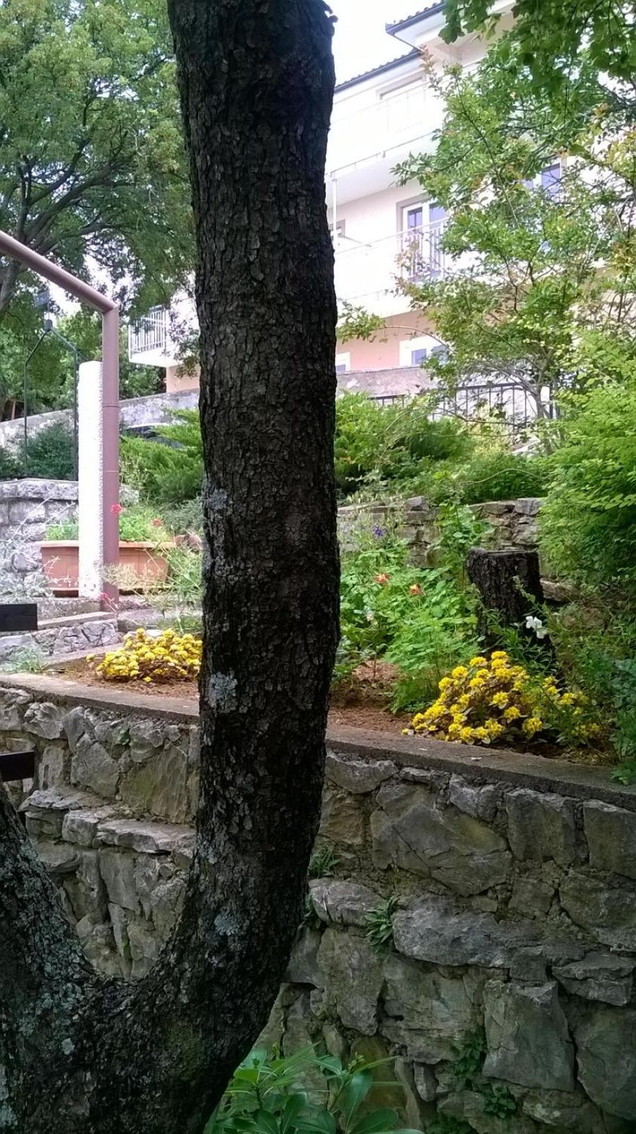 Photo 36