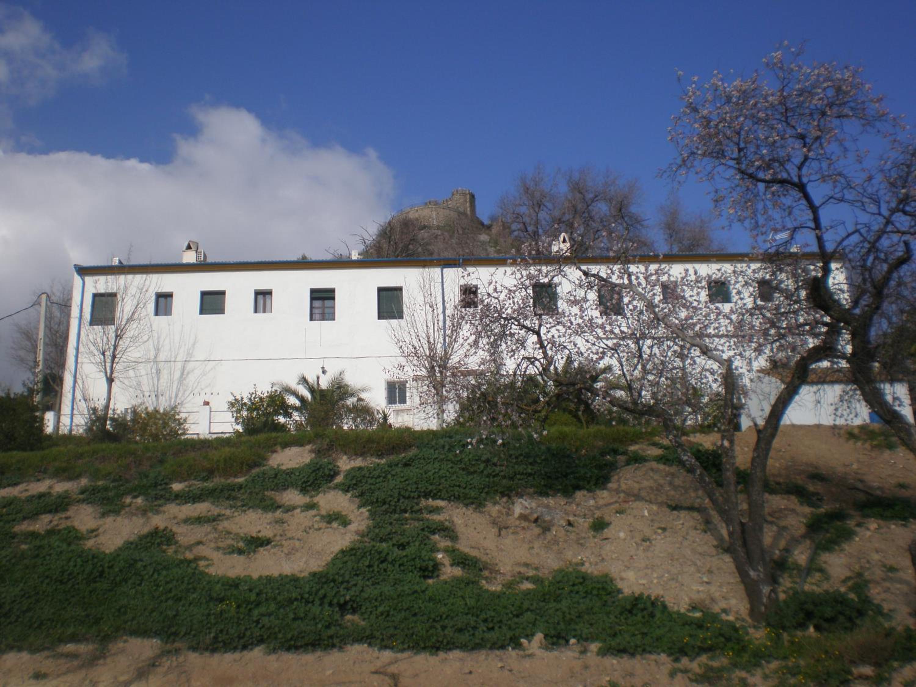 Photo 43