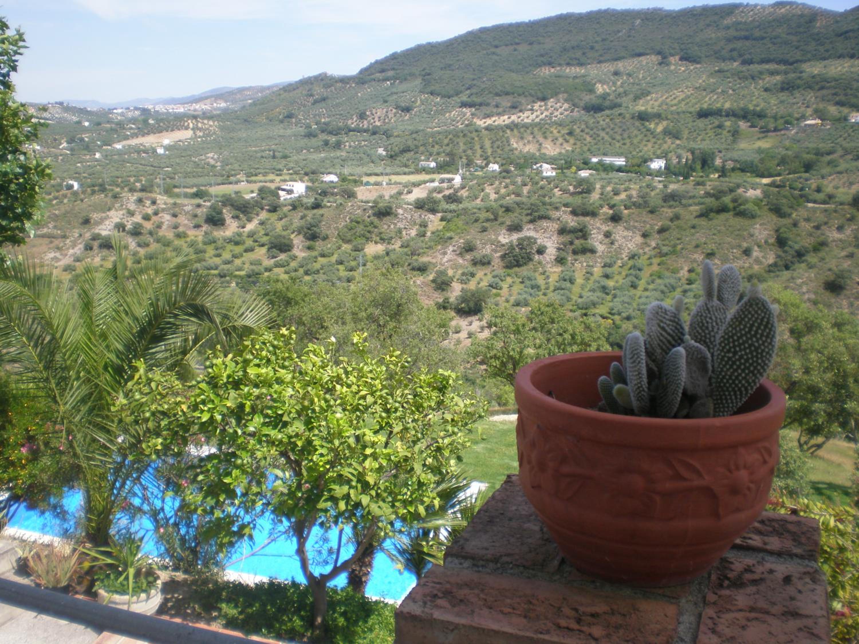 Apartamentos Rurales El Cañuelo de Carcabuey view 2