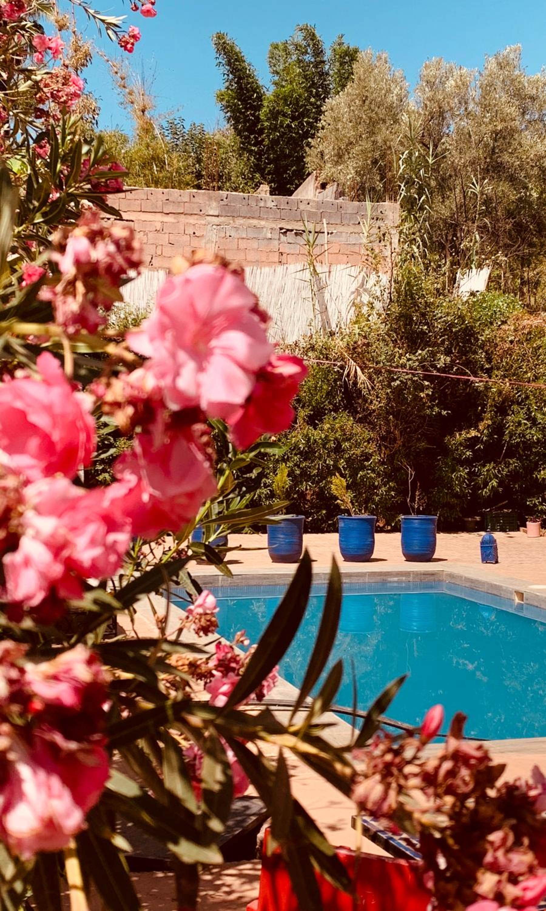 Riad Belgika Marrakech