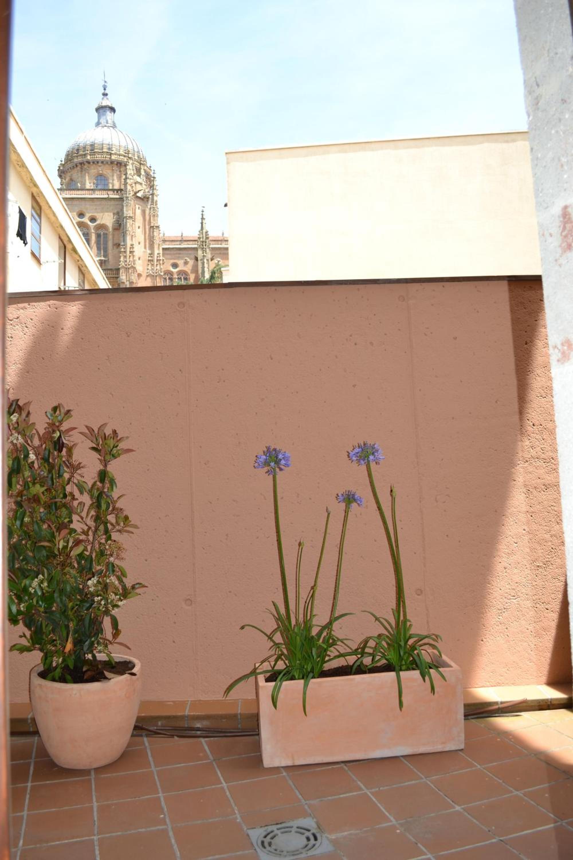 Apartamentos Suites&Homes