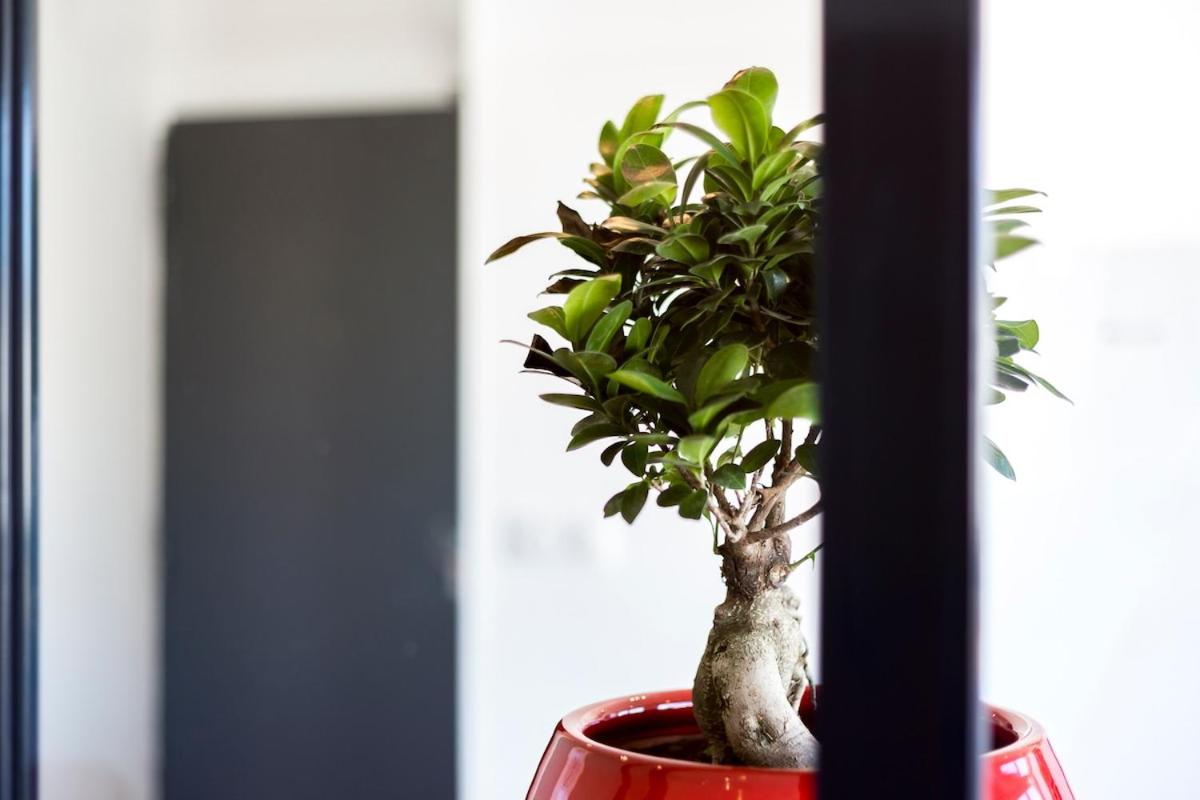 COCON - PartDieu l Parking l Climatisation by Dreamy Flat Lyon