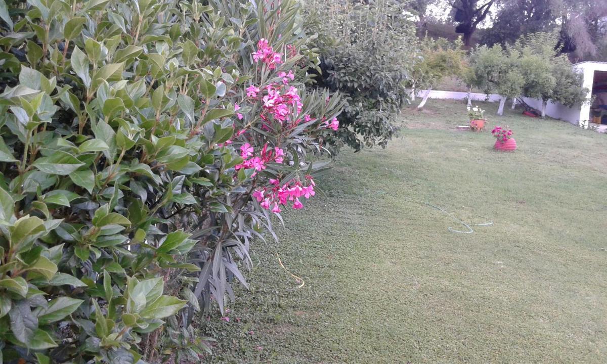 Photo 26