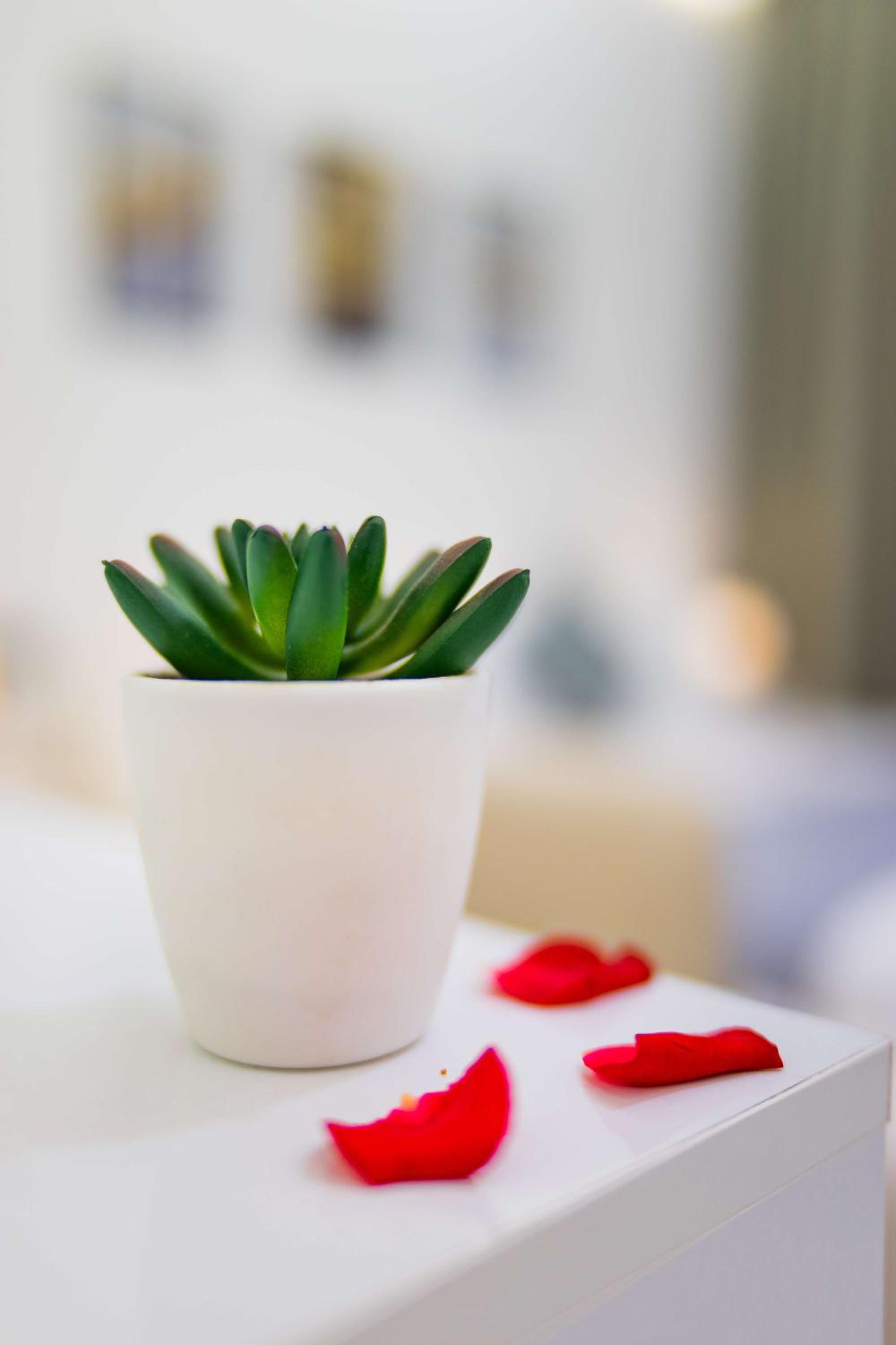 Villa Deluxe à Marrakech Luxe Raffiné & Intimité Totale