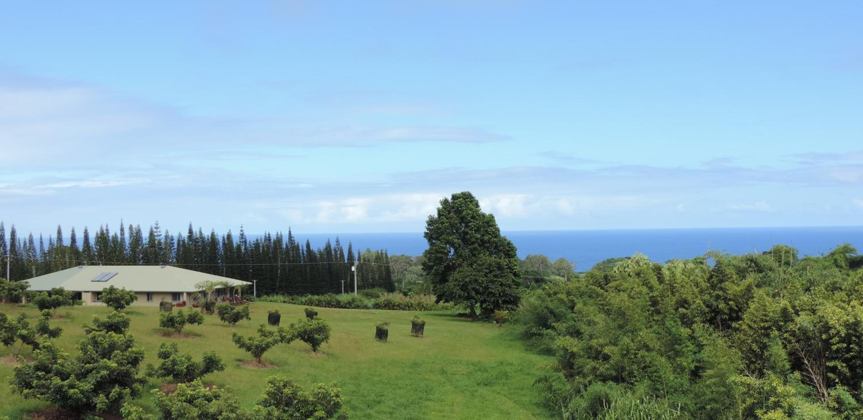 Mahana House Country Inn - Property Image 8