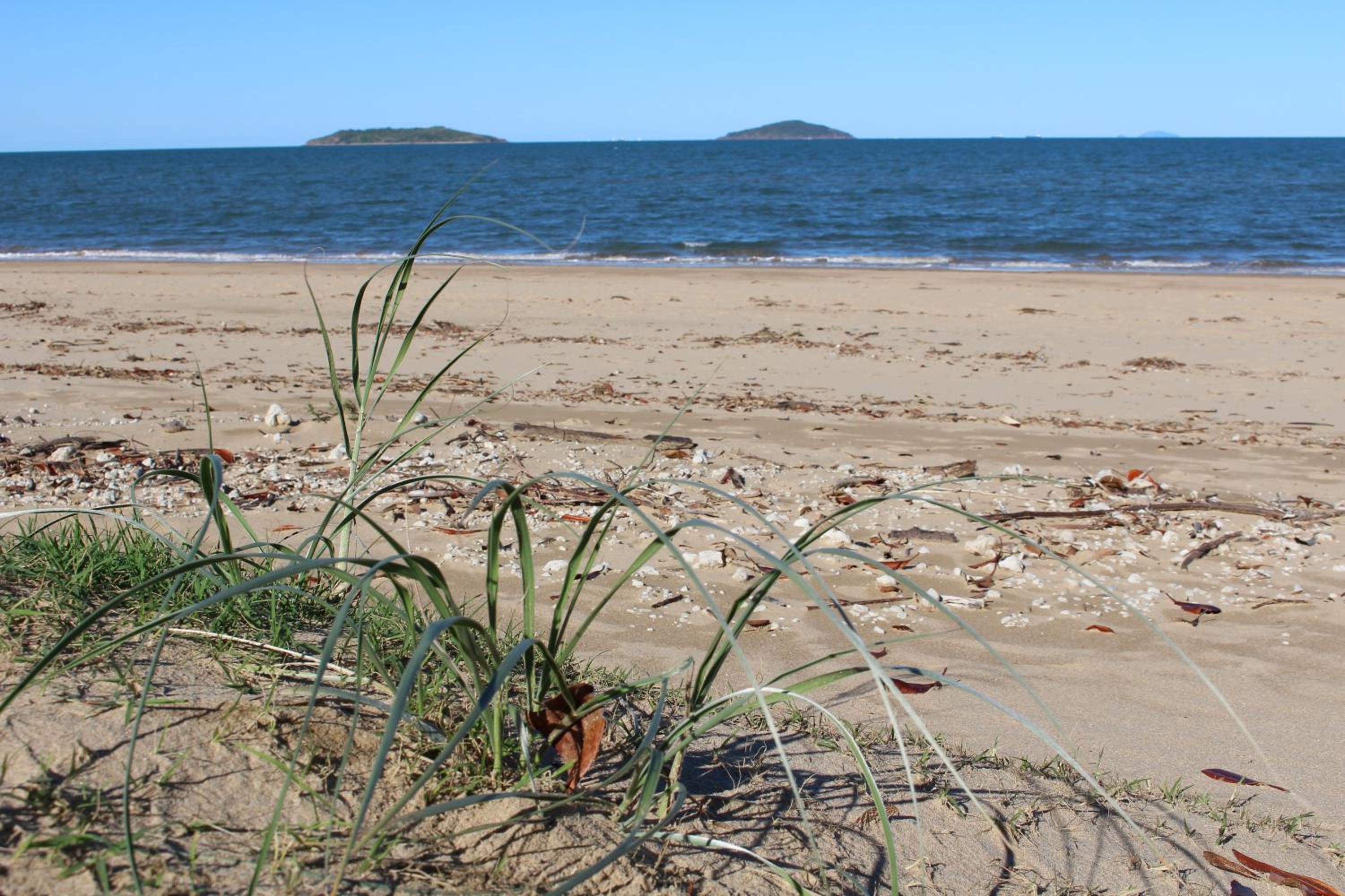 Petrie Beach Holiday Home