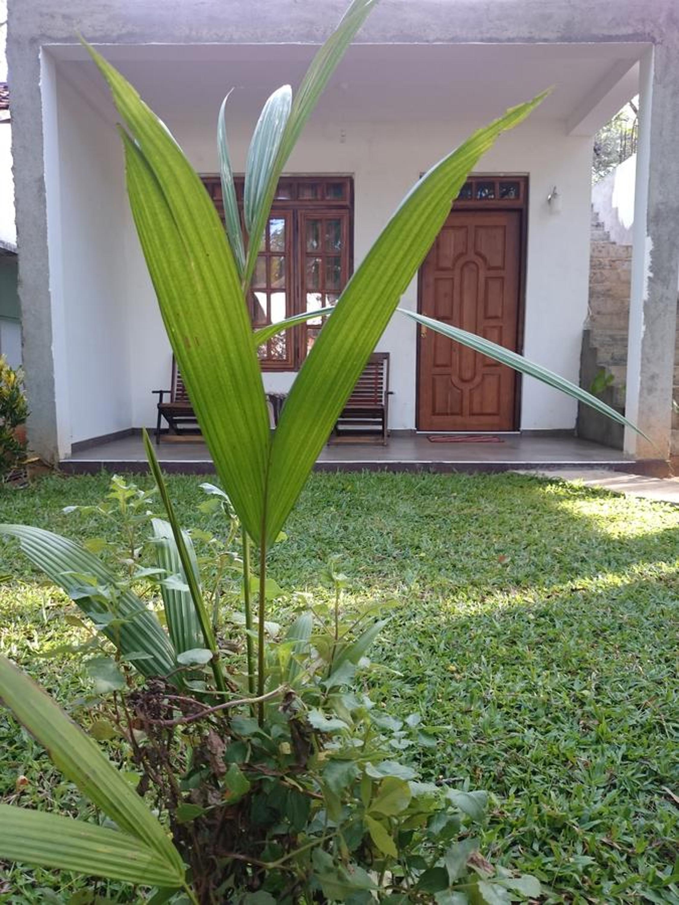 Photo 43