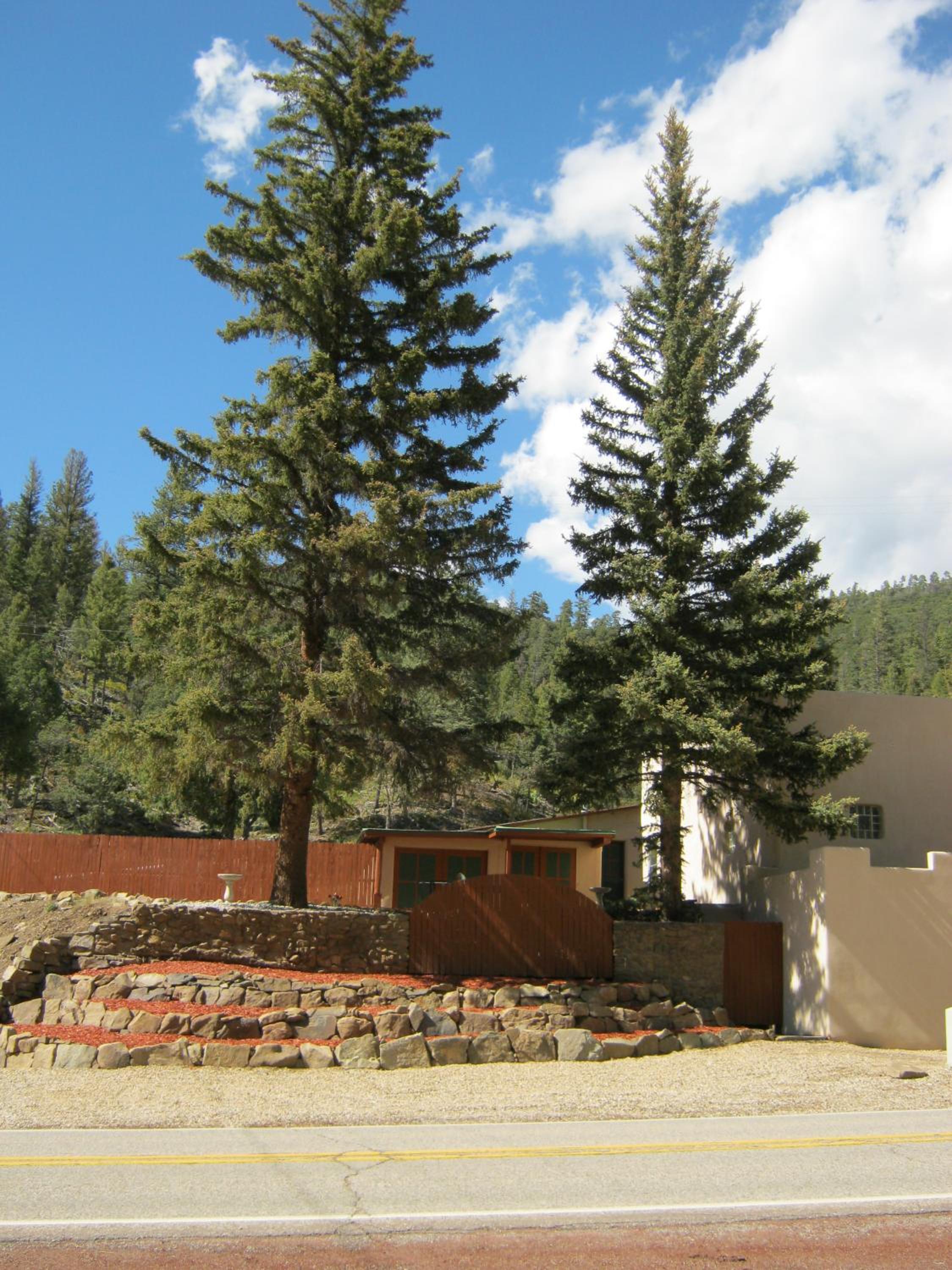 Shady Brook Inn Village/Resort