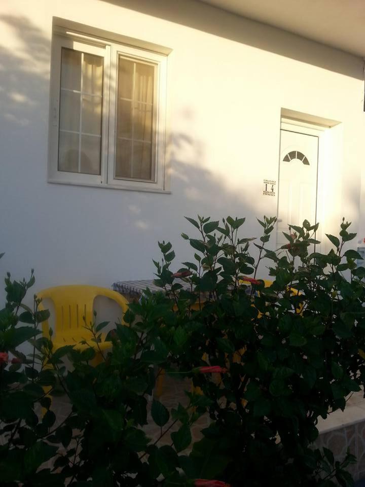 Photo 19