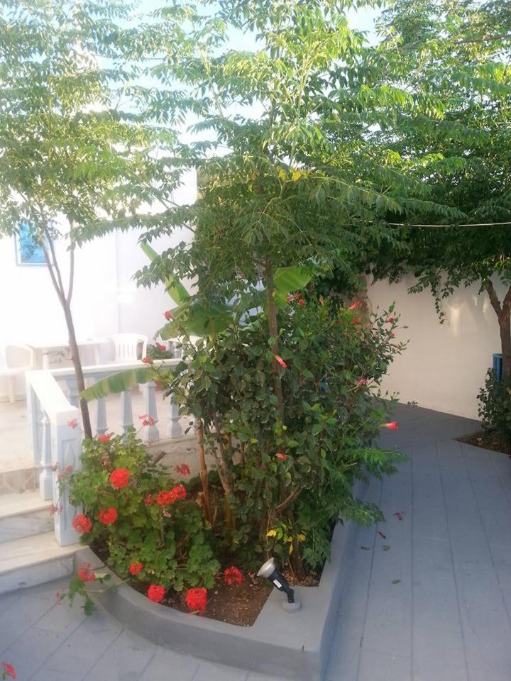 Photo 16